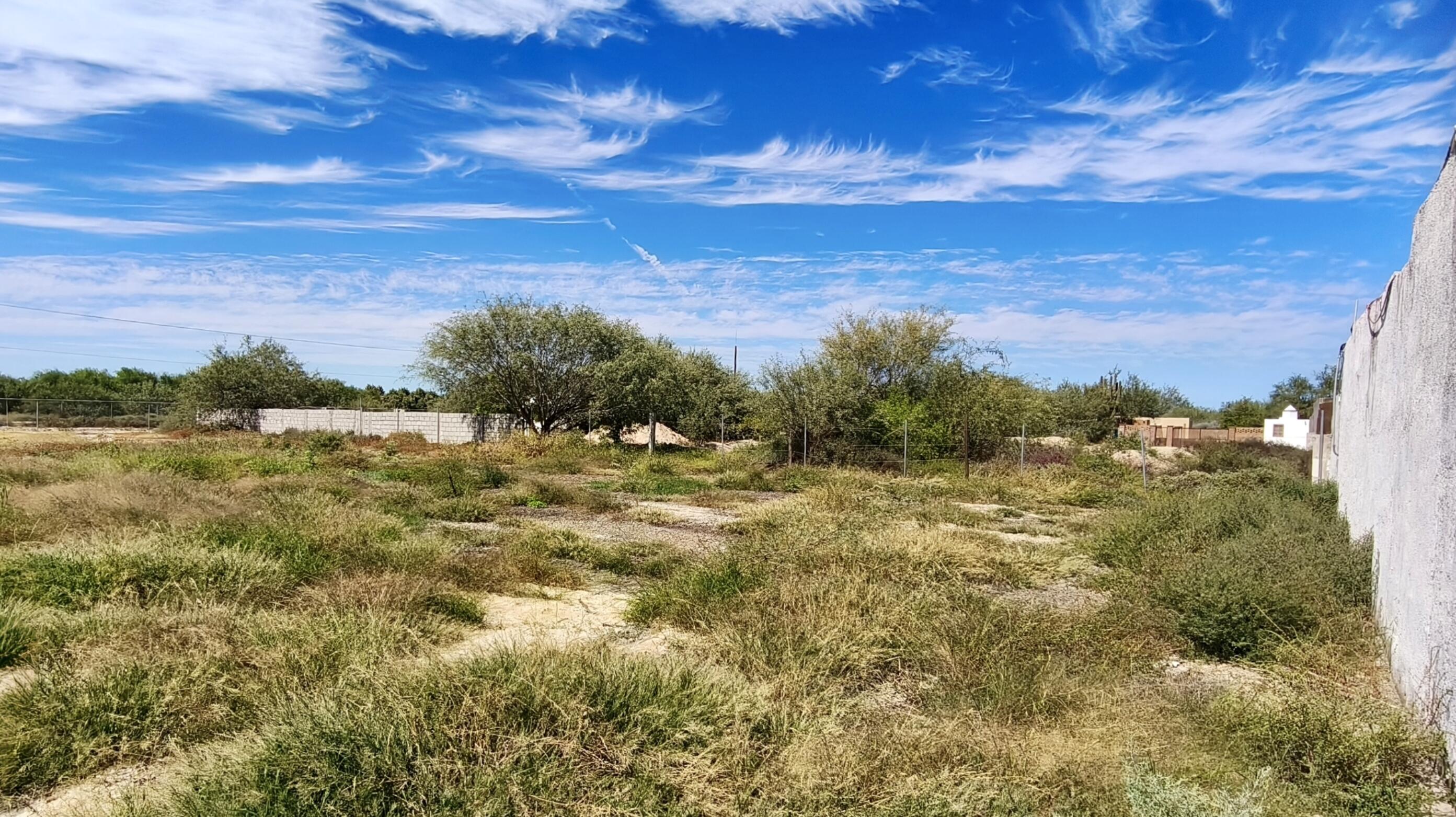 Terreno Grande Chametla La Paz BCS MLS #25-4711 45 MLS #25-4711 image #4