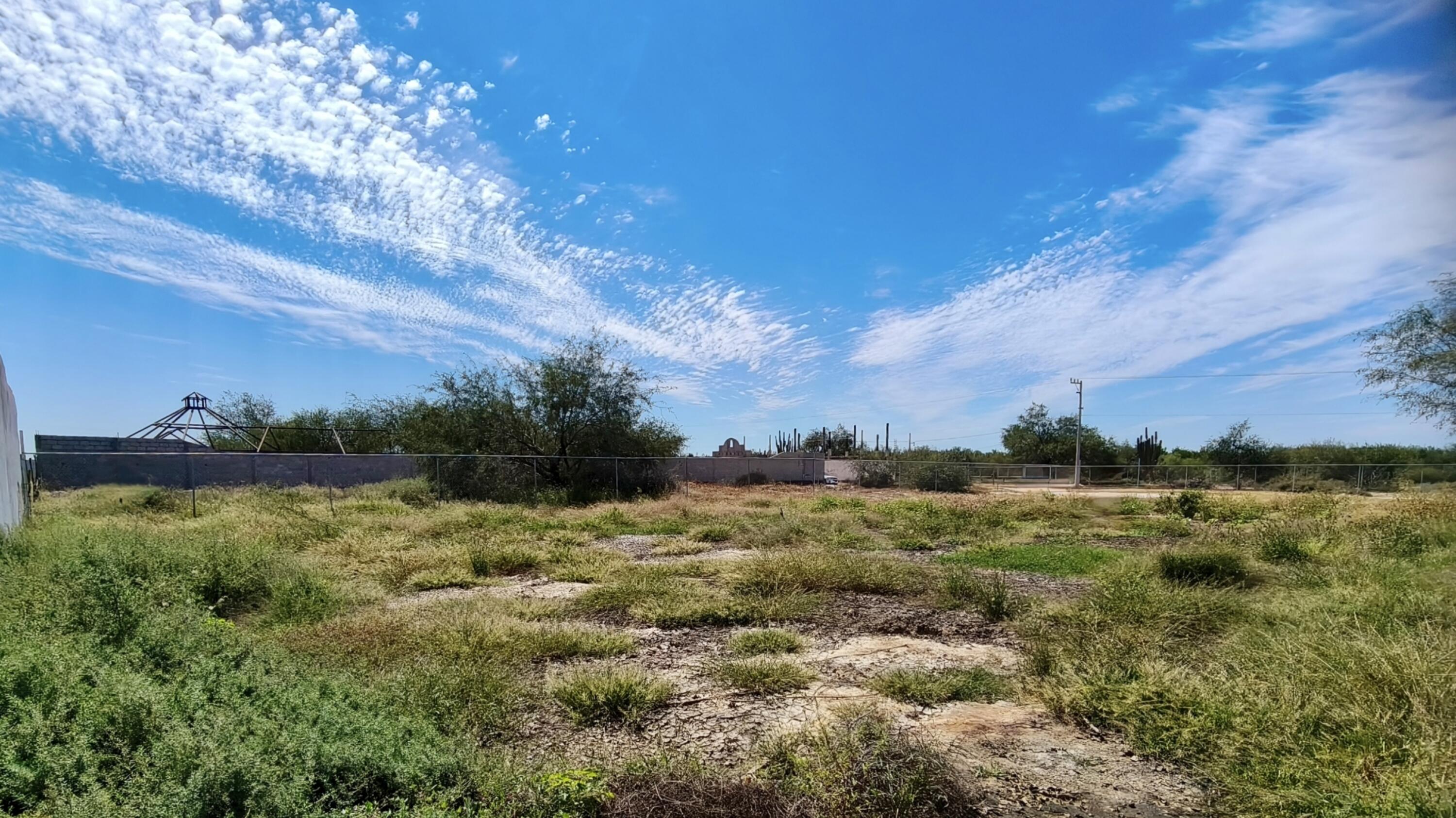 MLS #25-4711 image #7