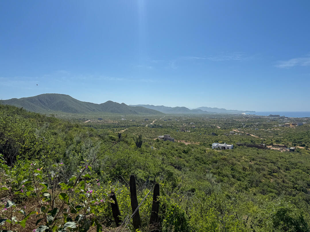 MLS #25-4718 image #6