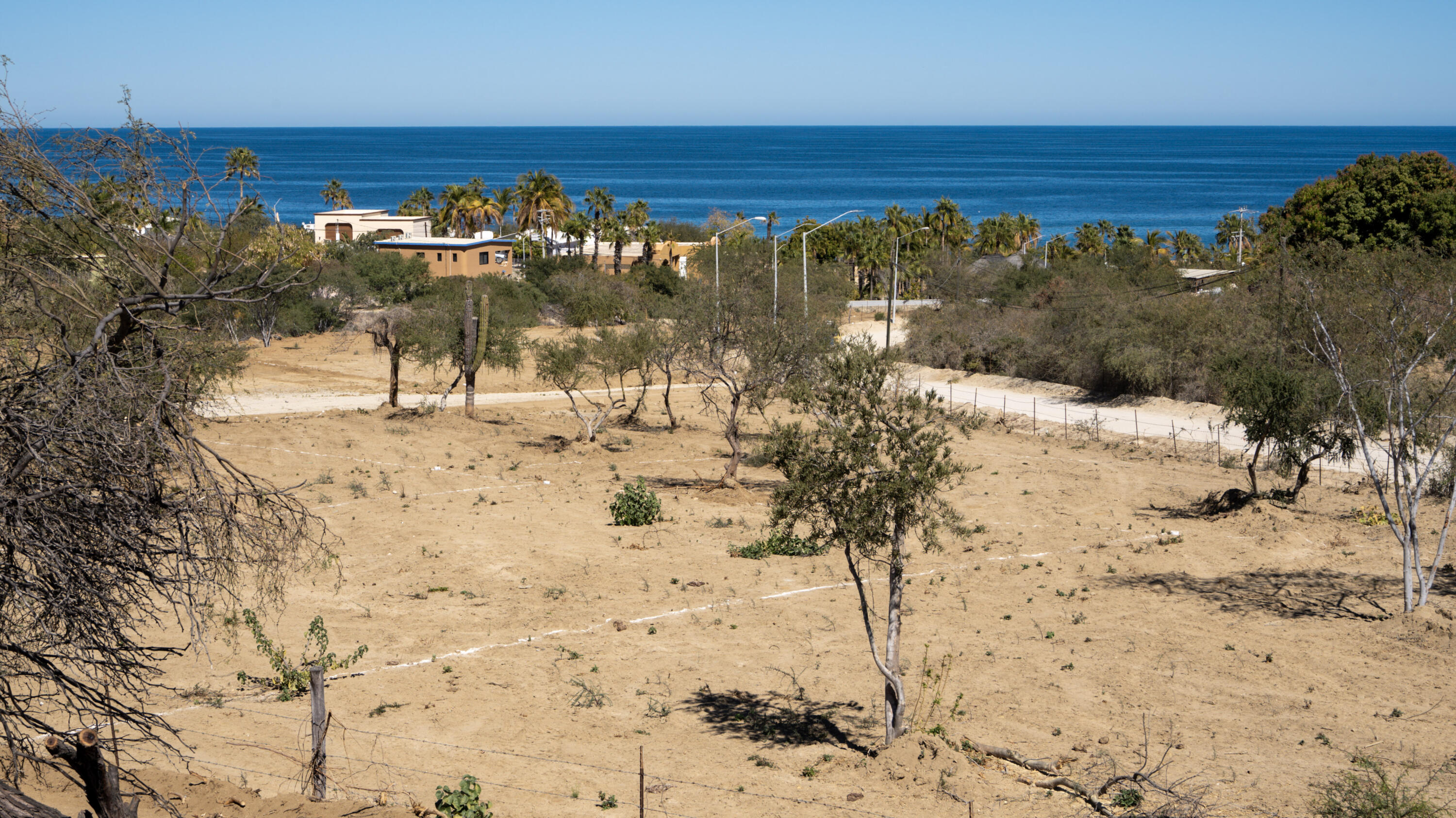 MLS #25-472 image #1