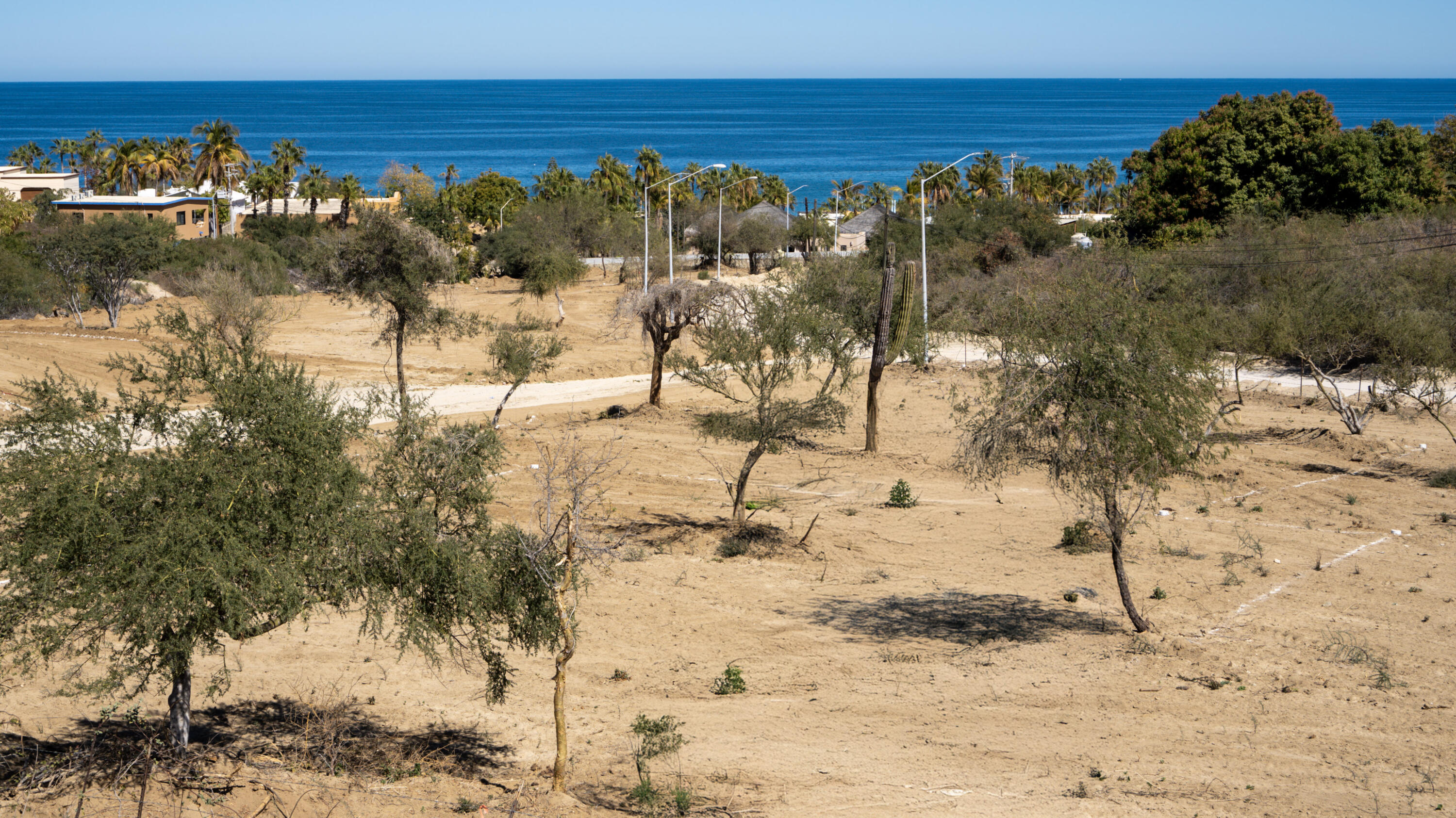 MLS #25-472 image #2