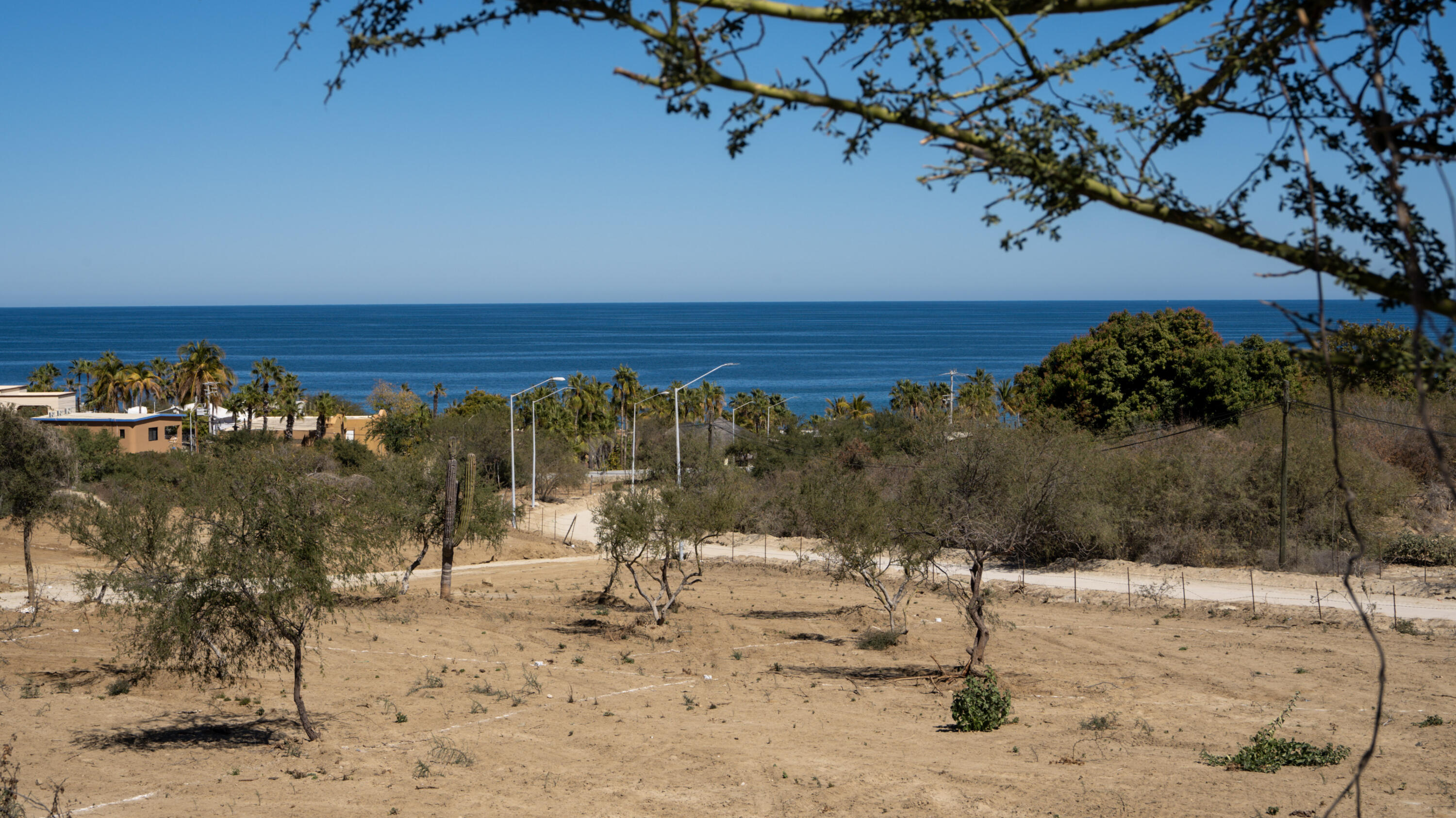 MLS #25-472 image #3