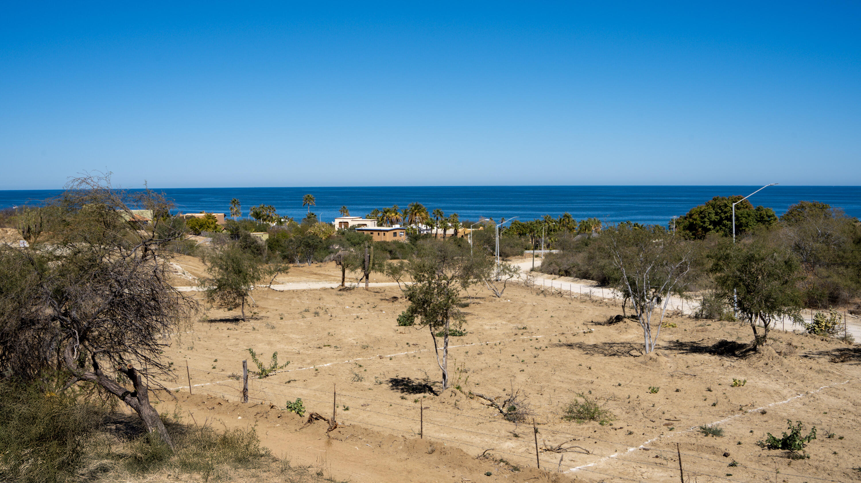 MLS #25-472 image #4