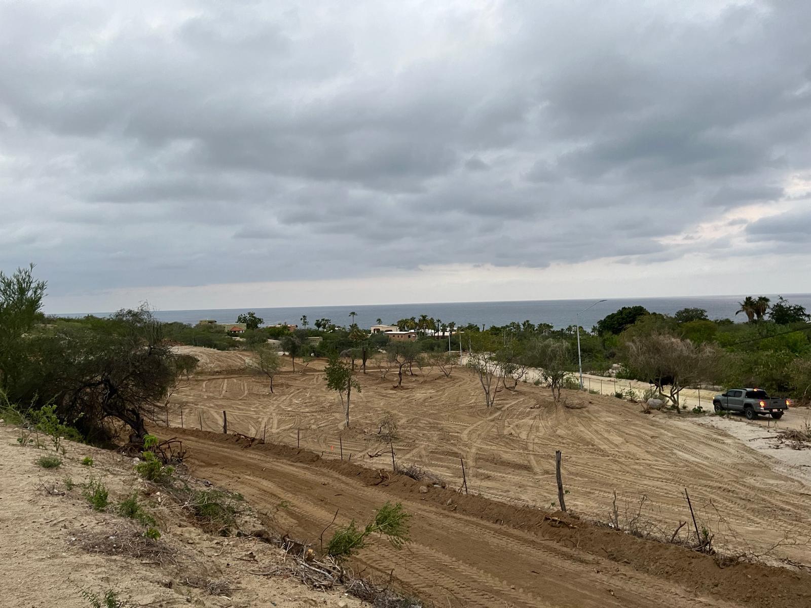 MLS #25-472 image #6