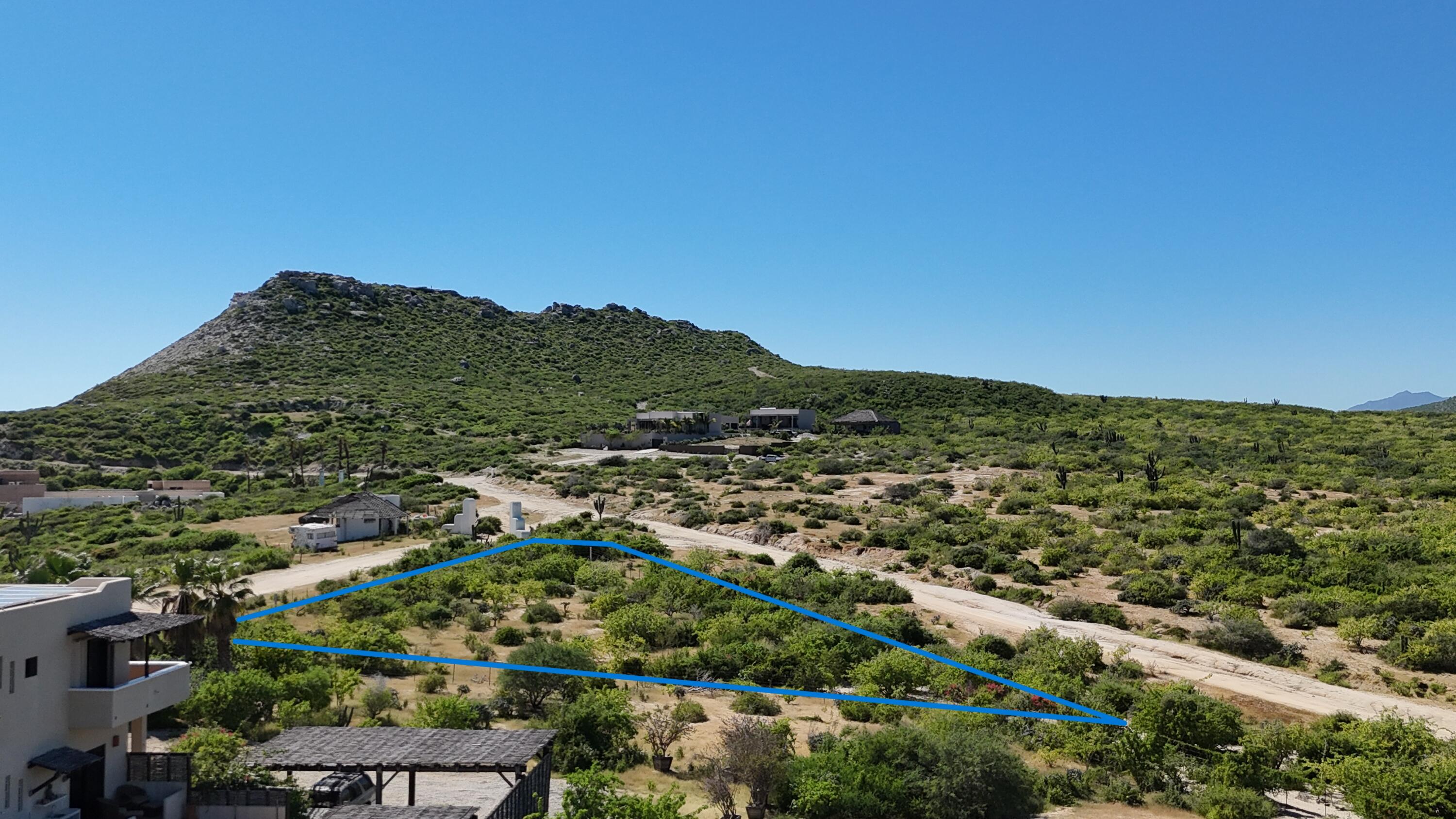 MLS #25-4796 image #2