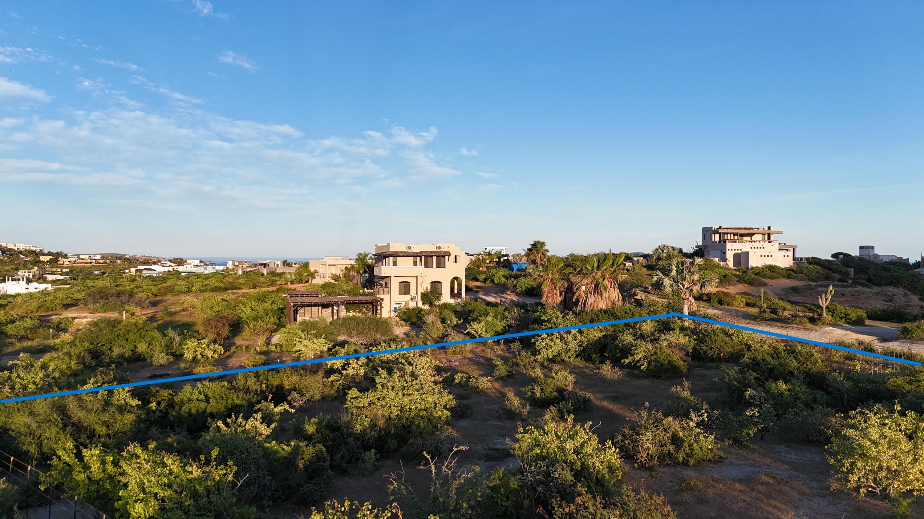 MLS #25-4796 image #4