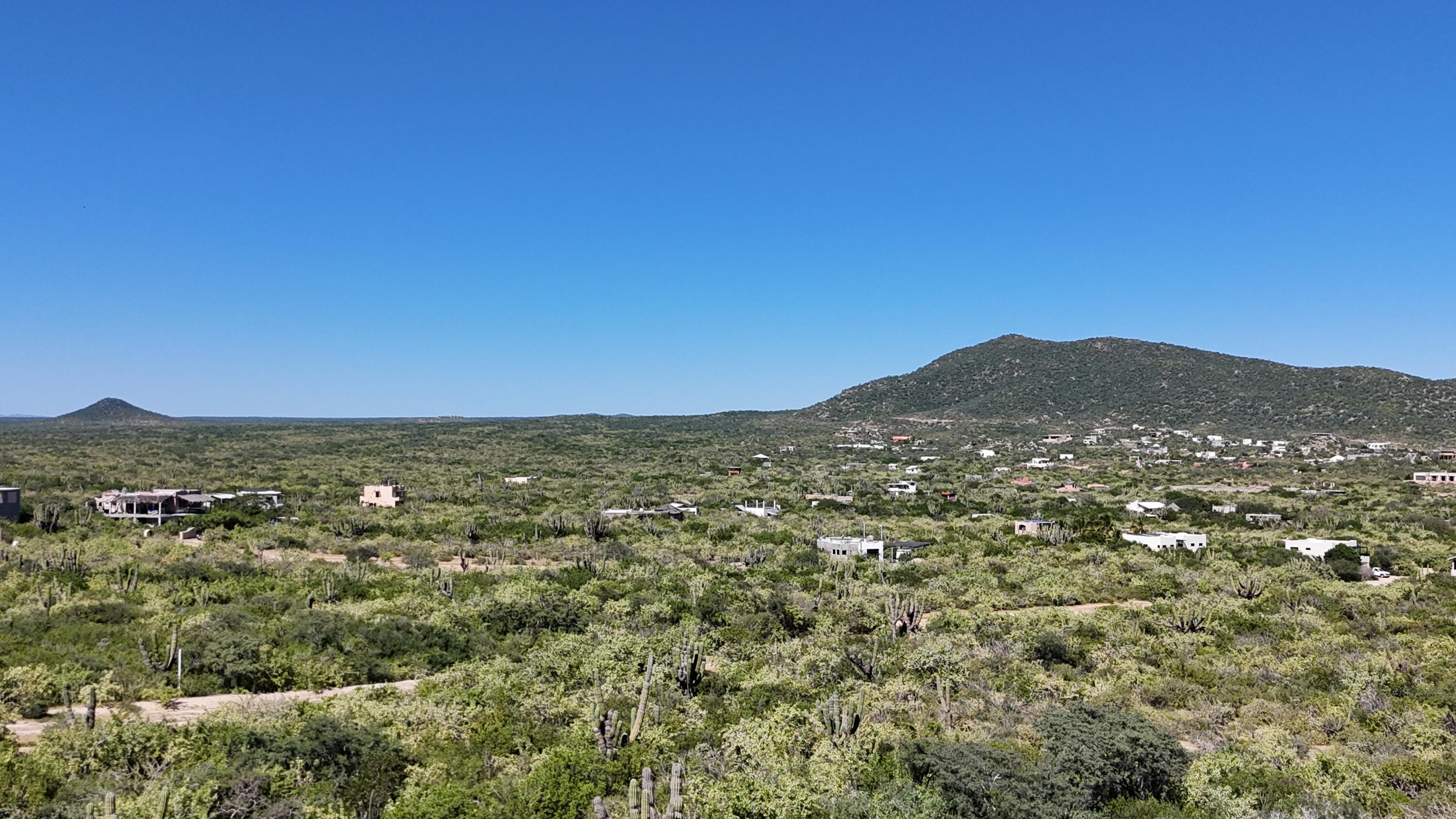 MLS #25-4796 image #5