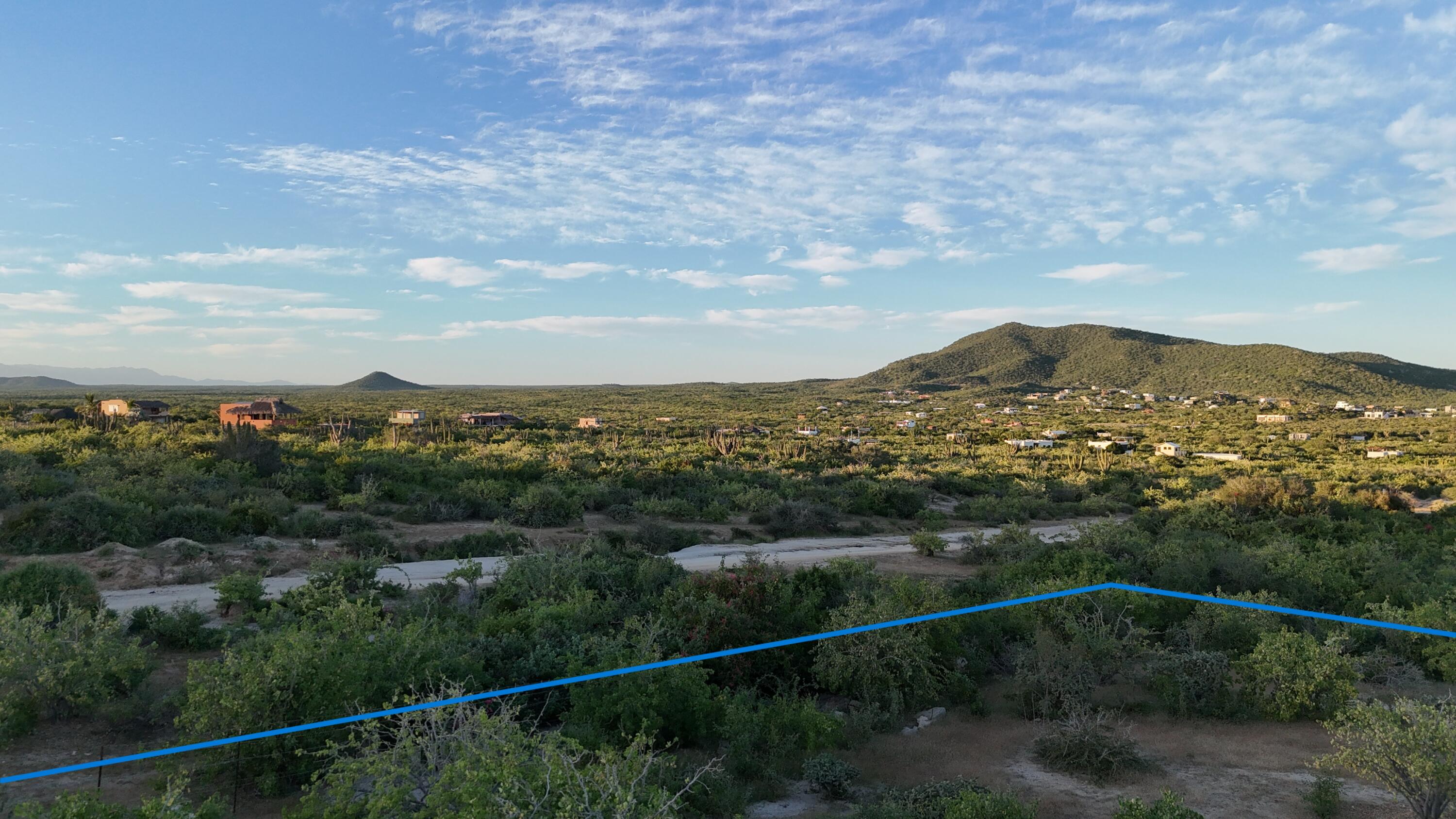 MLS #25-4796 image #7