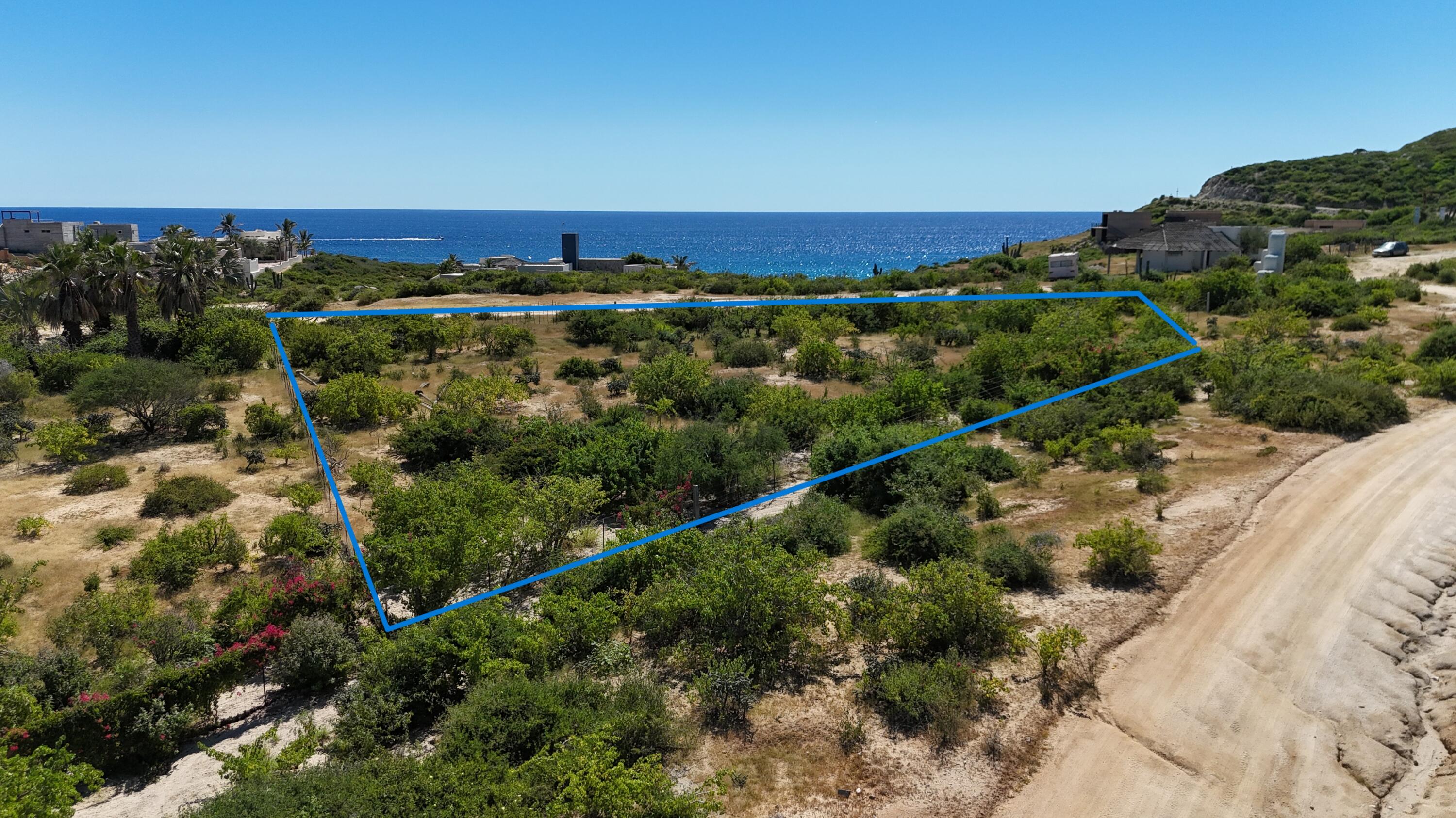 MLS #25-4796 image #9