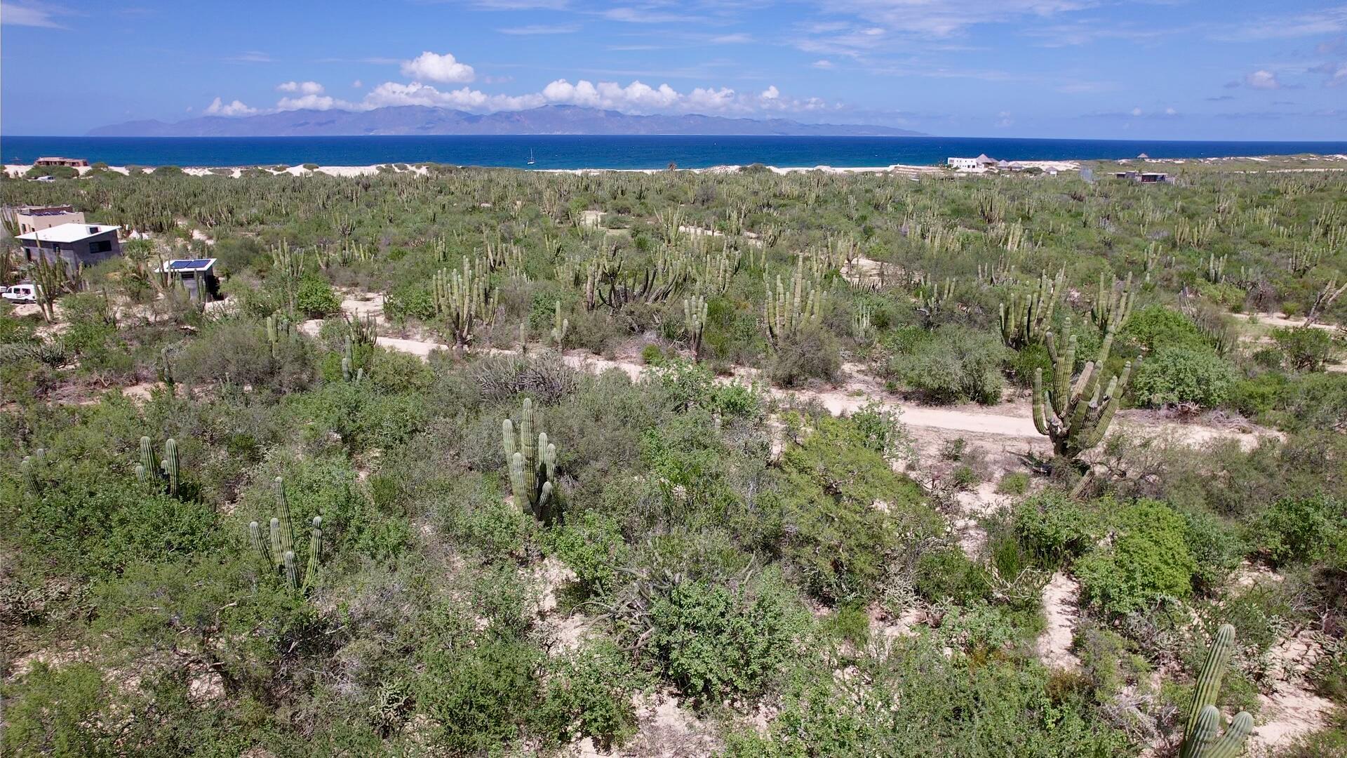 MLS #25-4818 image #1