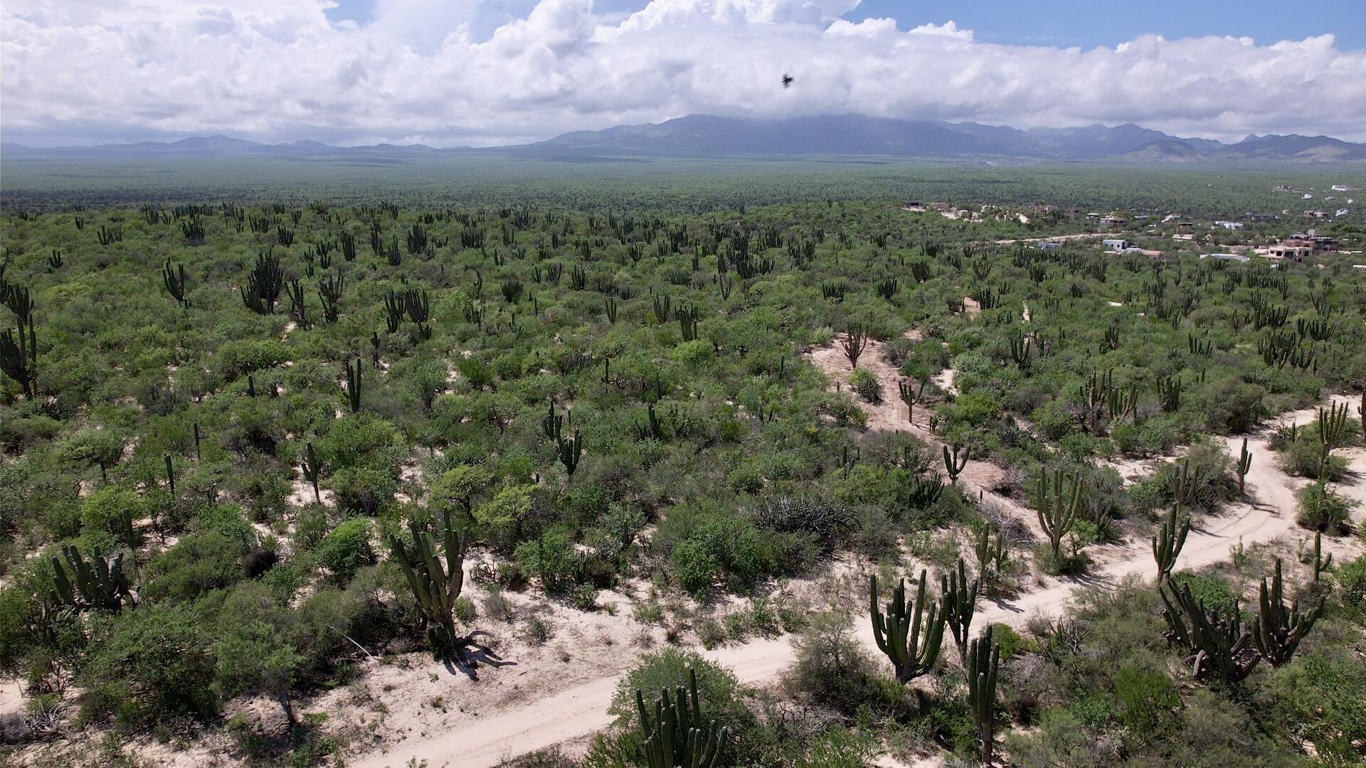 MLS #25-4818 image #2