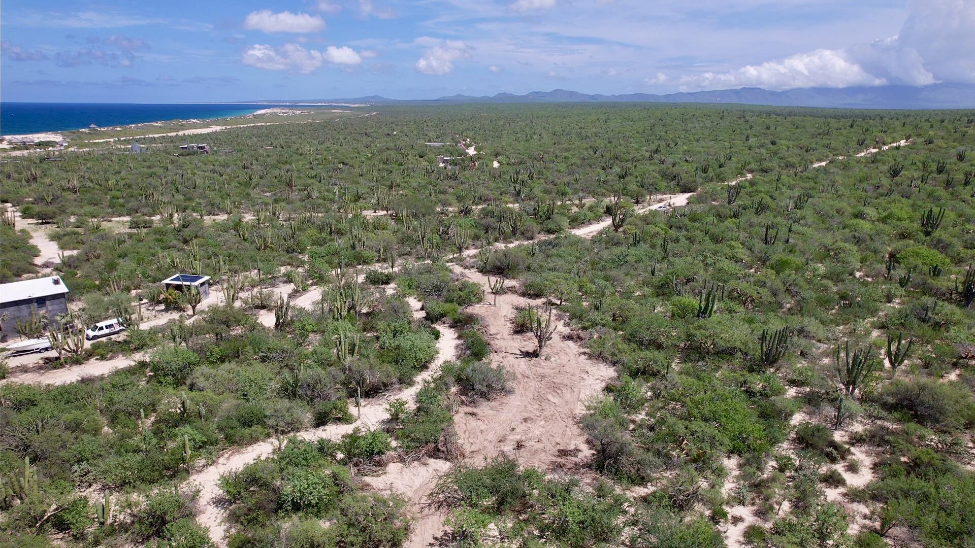 MLS #25-4818 image #3