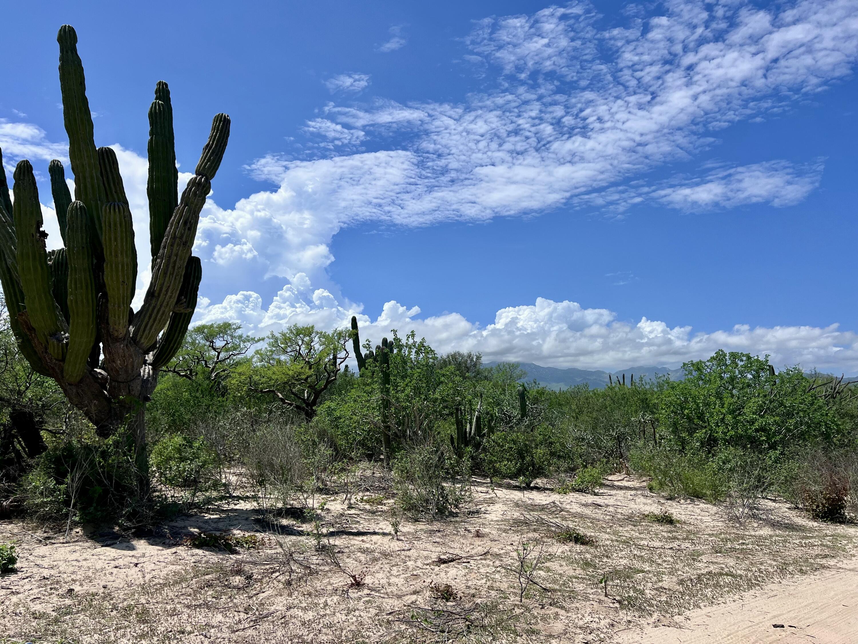 MLS #25-4818 image #5