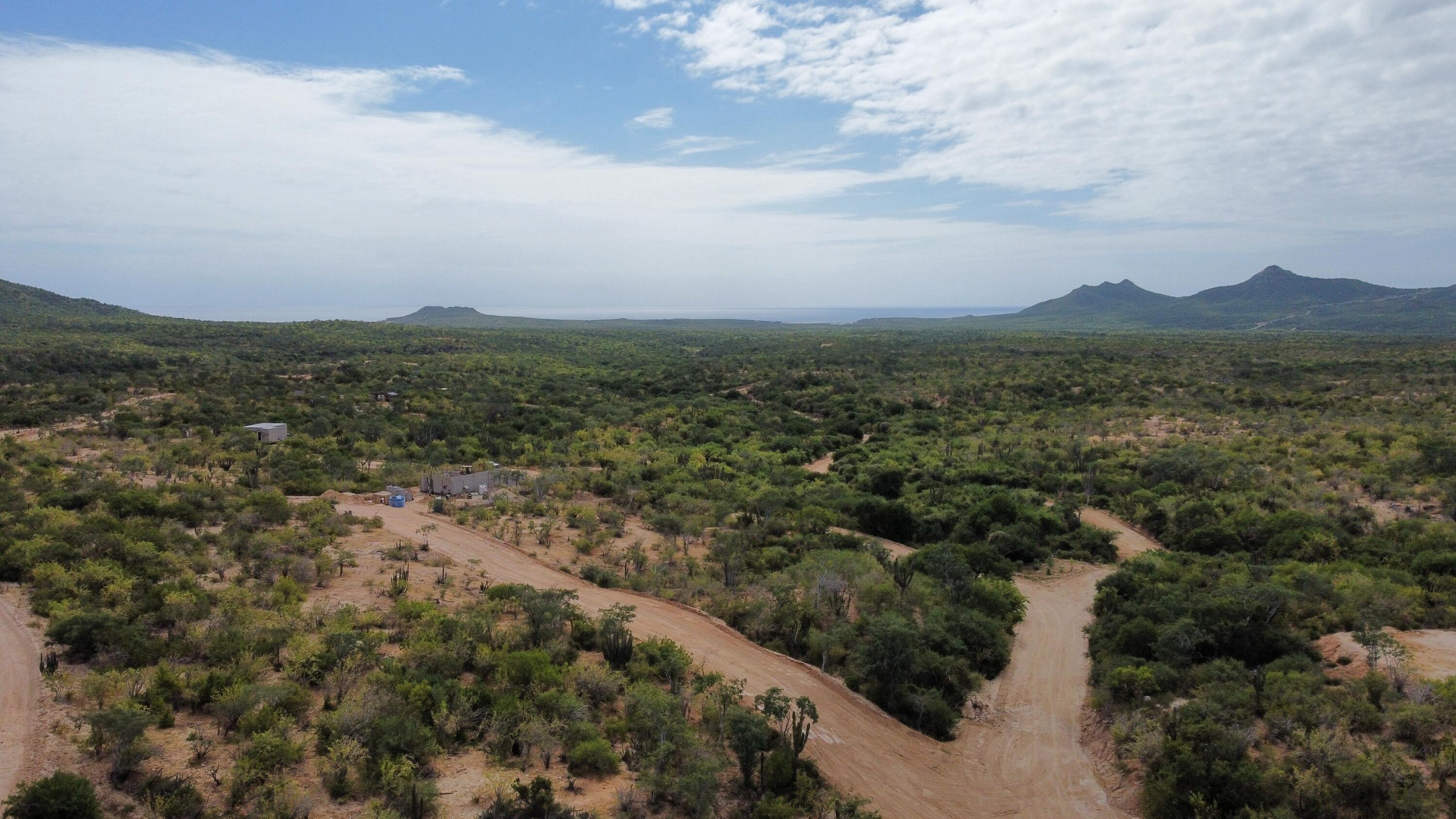 MLS #25-509 image #0