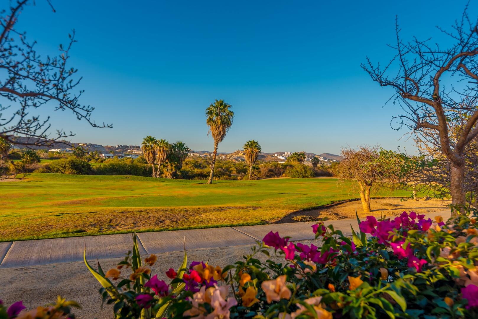 MLS #25-5156 image #1