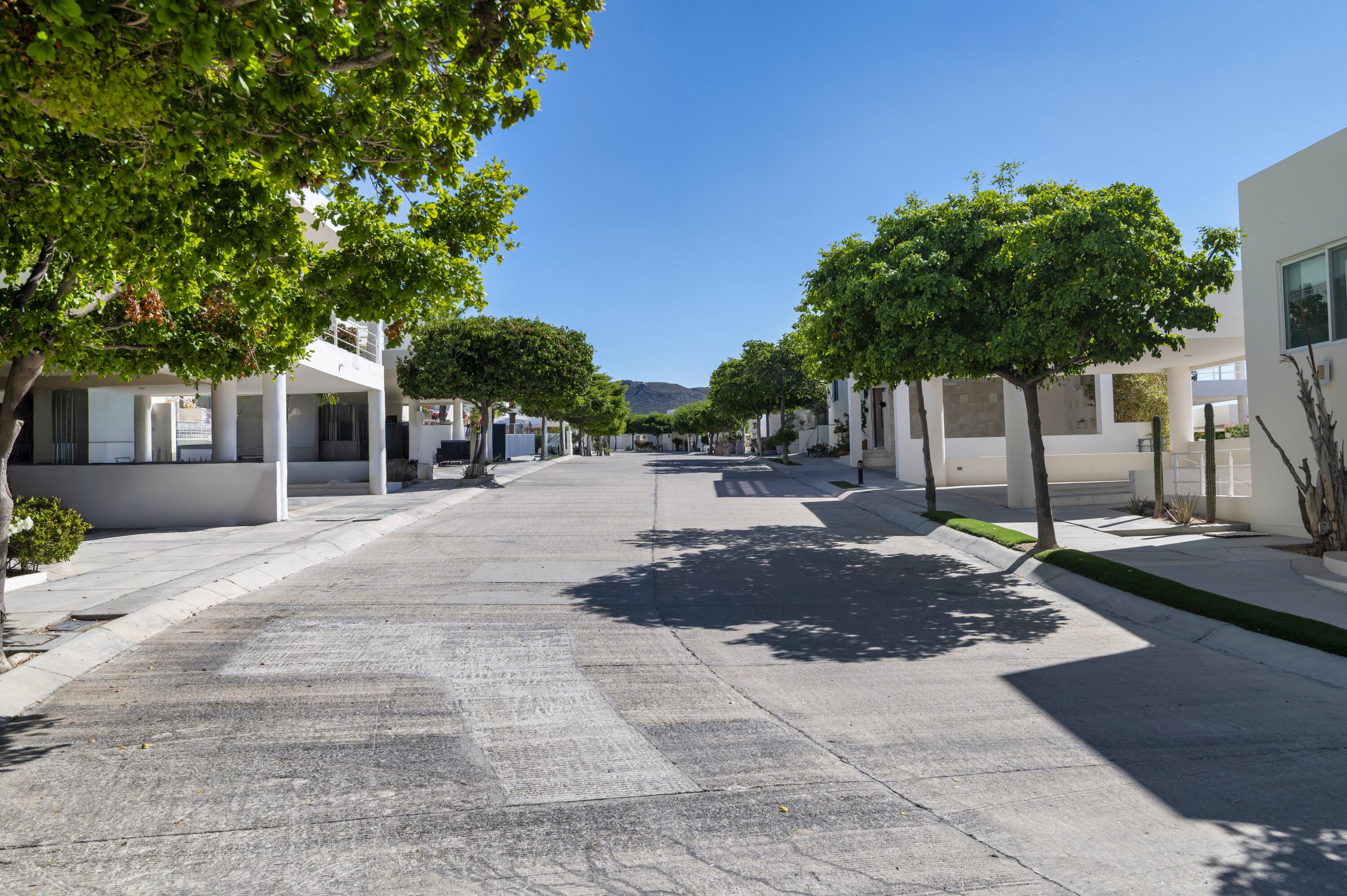 MLS #25-5283 image #37