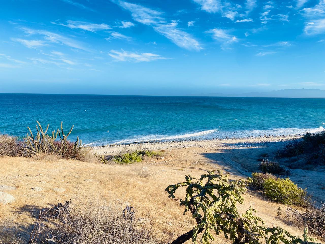 MLS #25-532 image #0