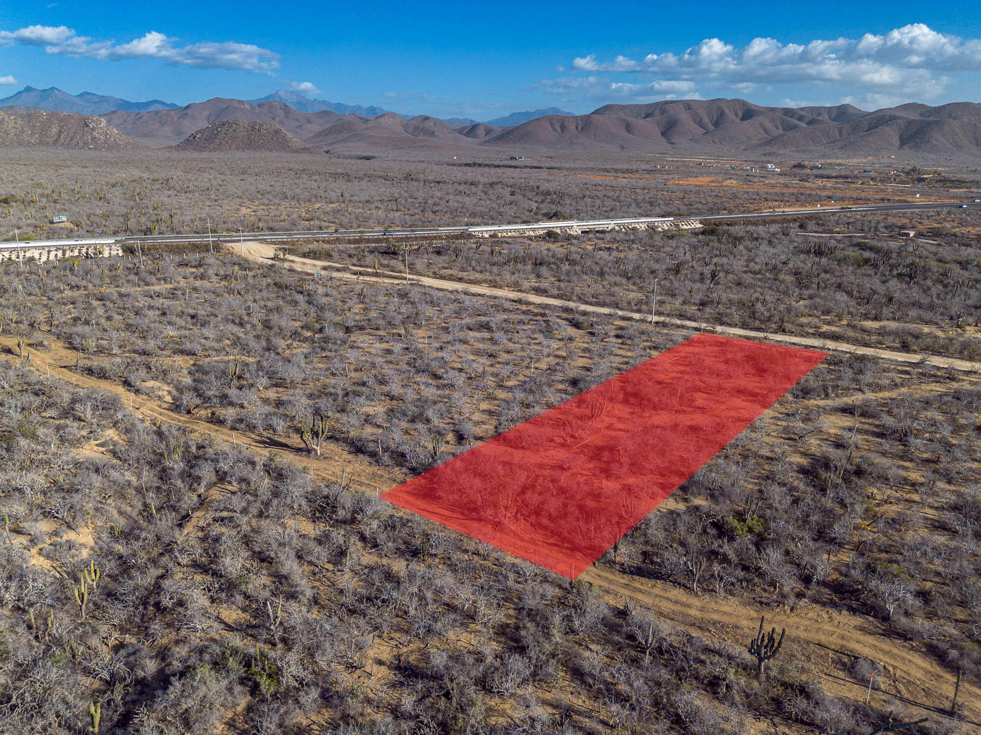 MLS #25-537 image #13