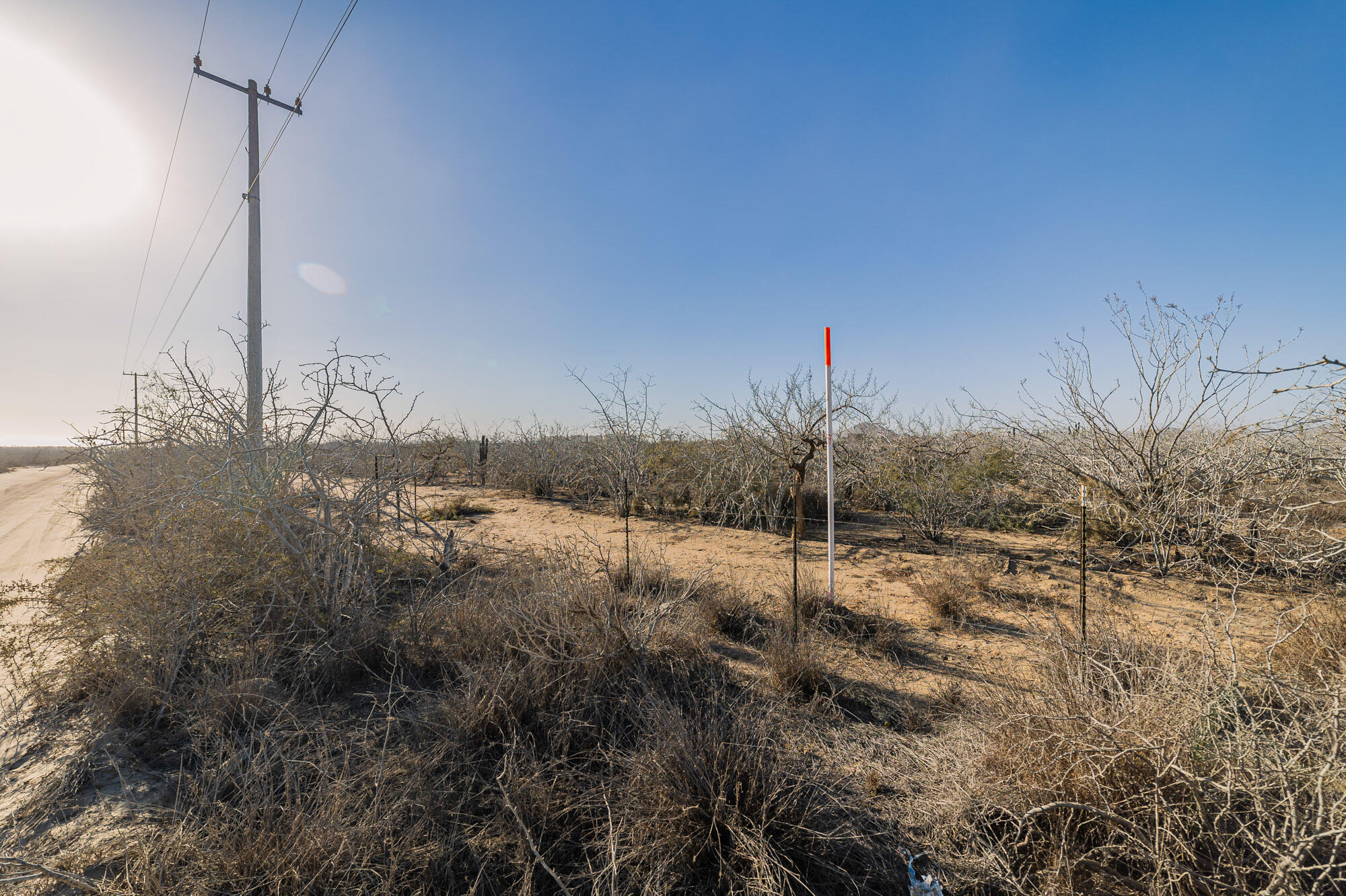 MLS #25-537 image #16