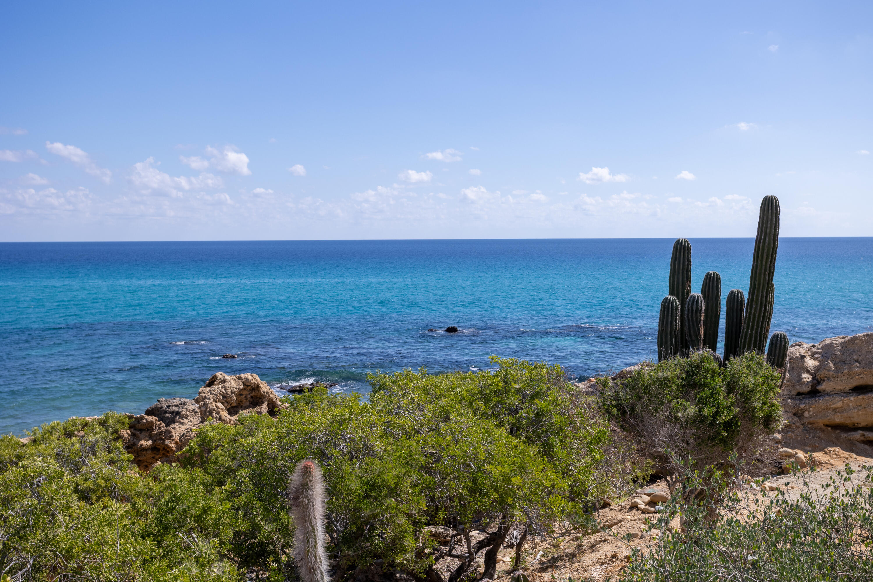 MLS #25-5372 image #3