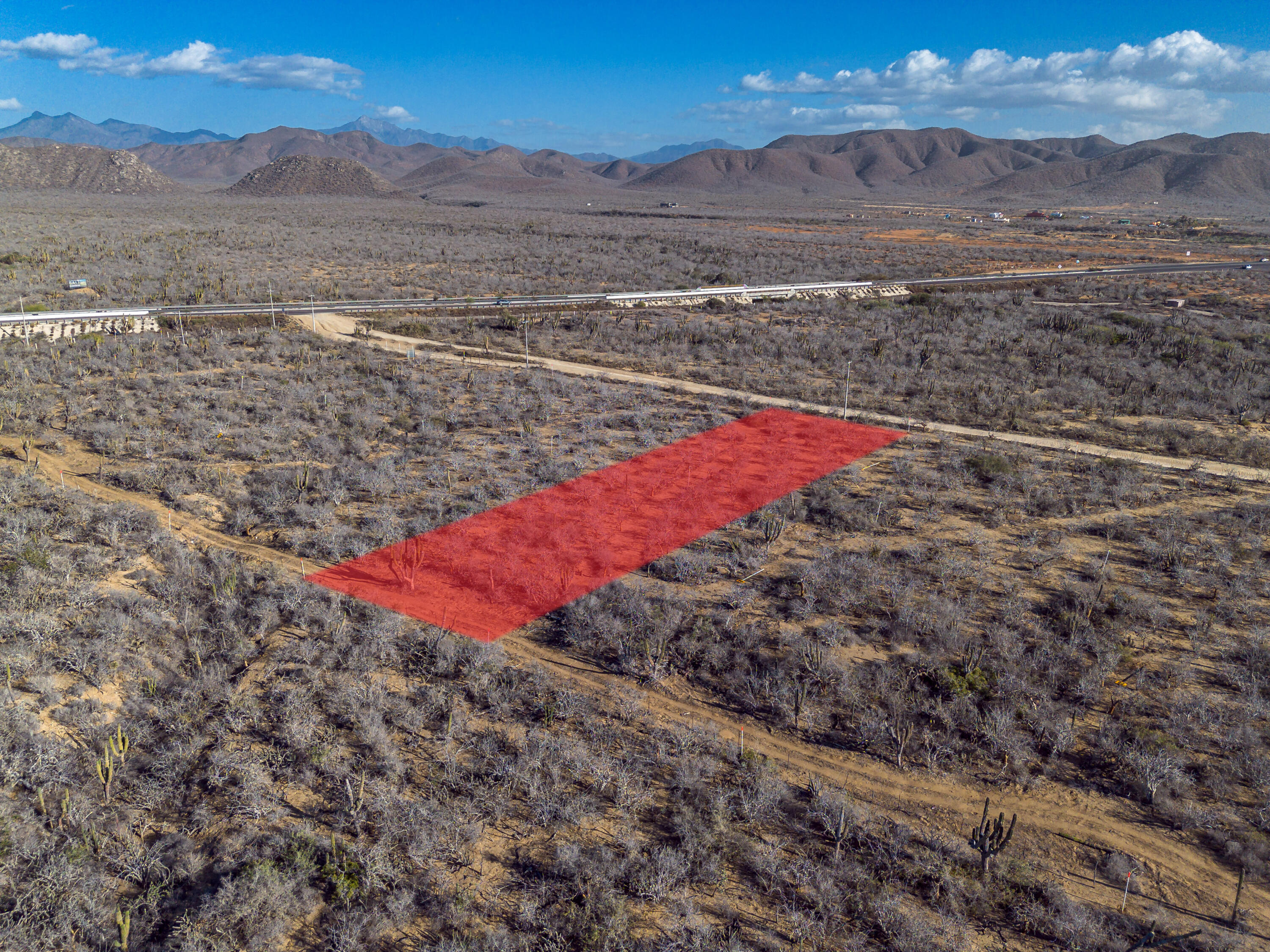 MLS #25-538 image #13