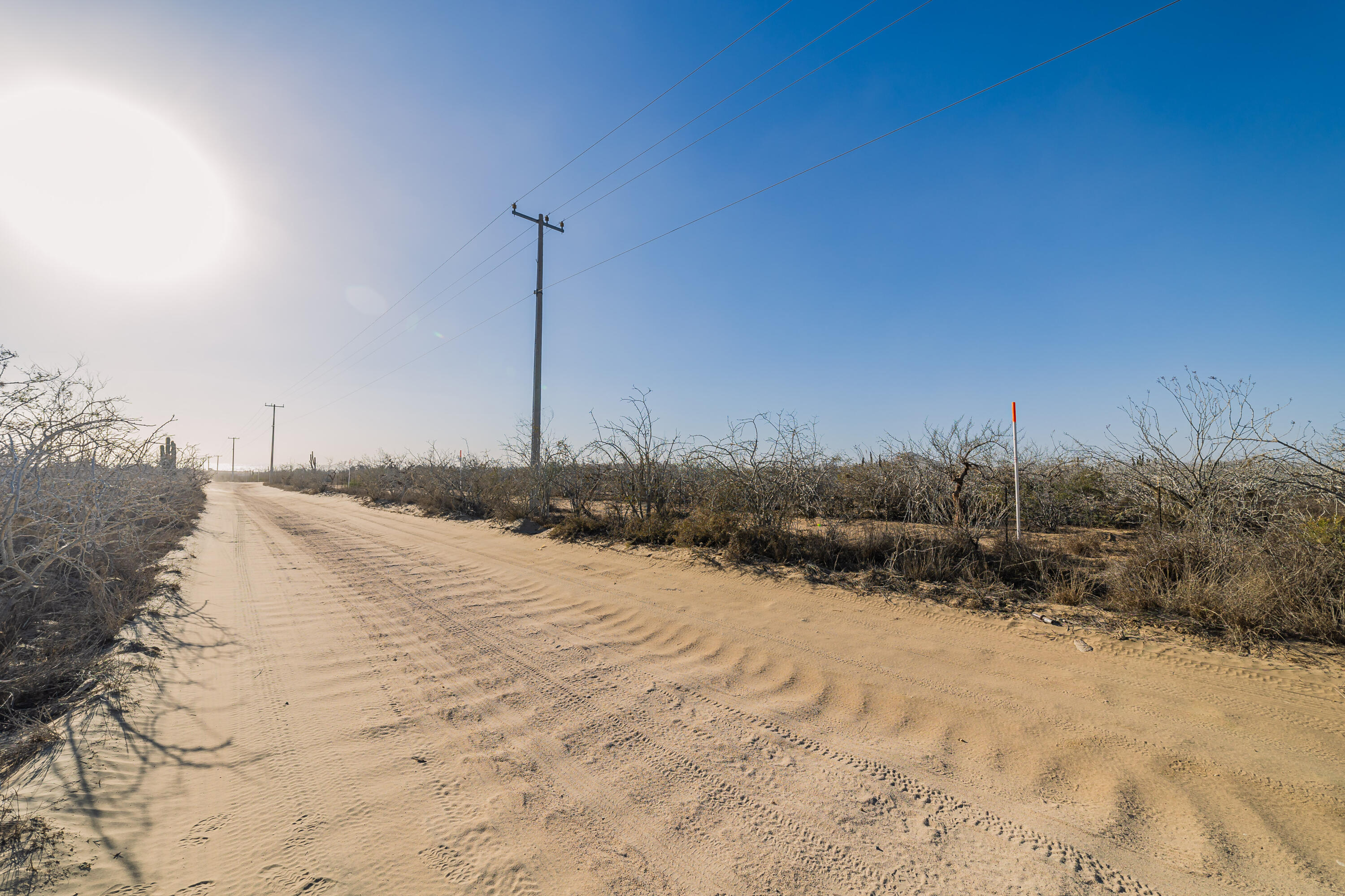 MLS #25-538 image #15