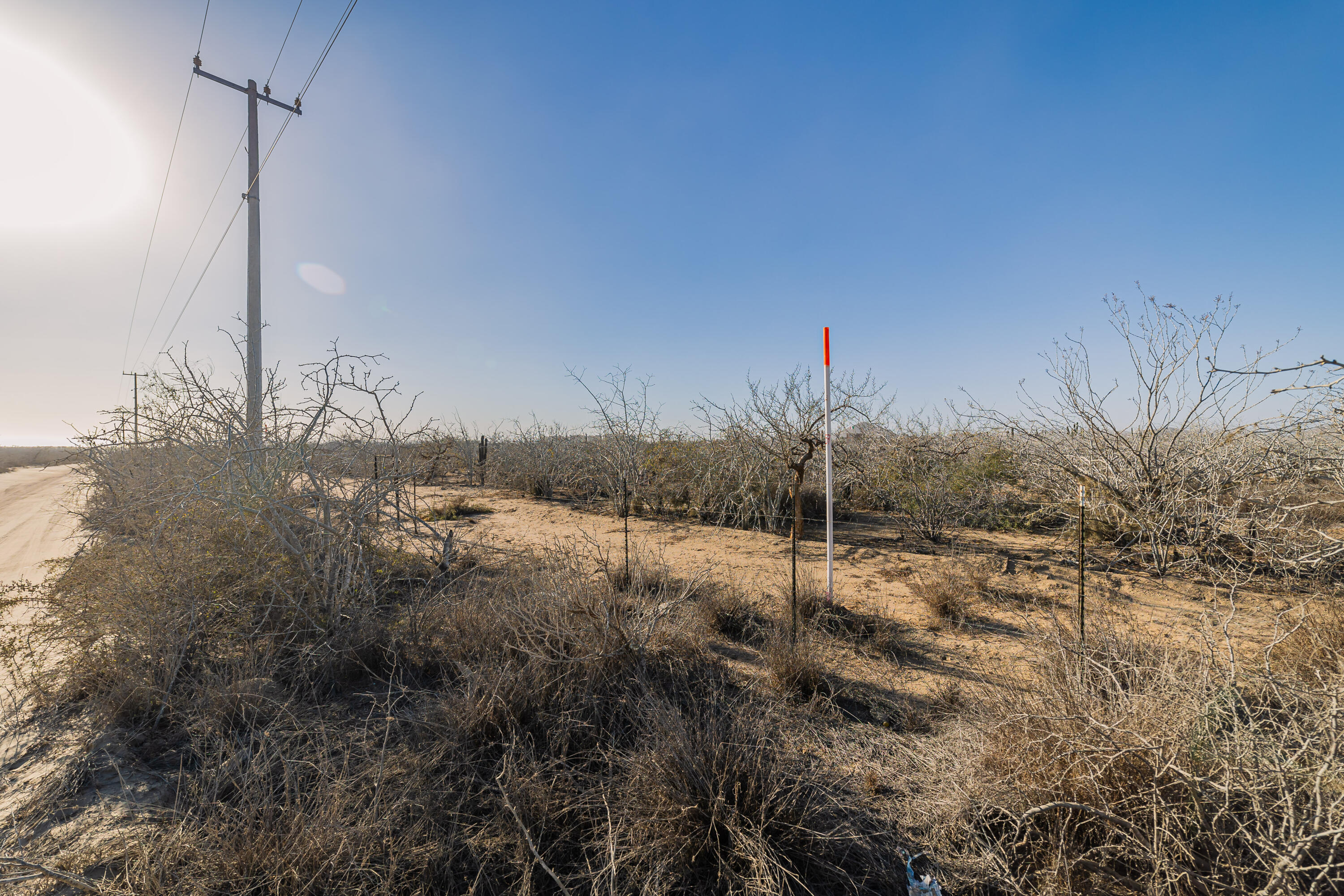 MLS #25-538 image #16