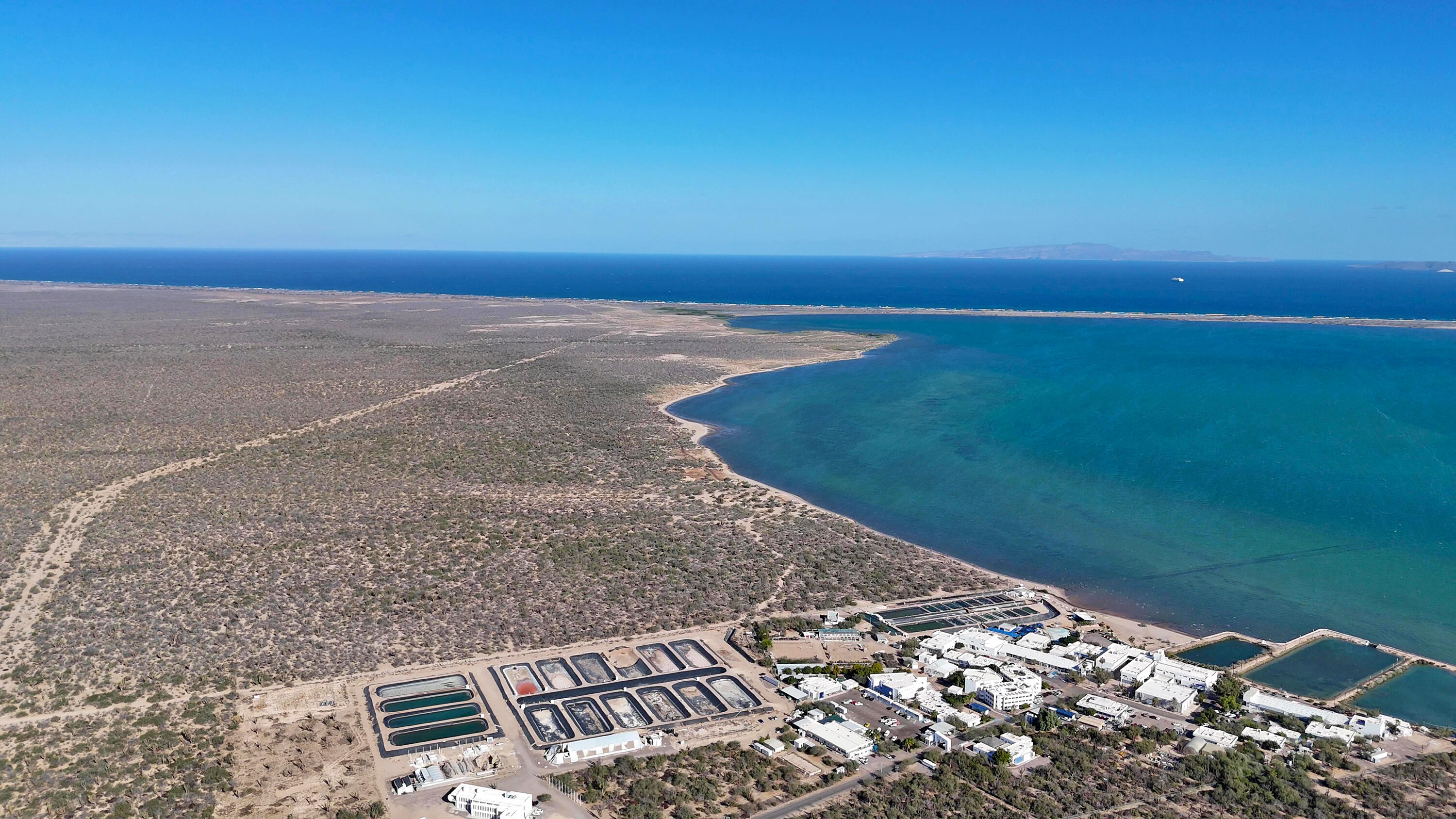 MLS #25-540 image #11