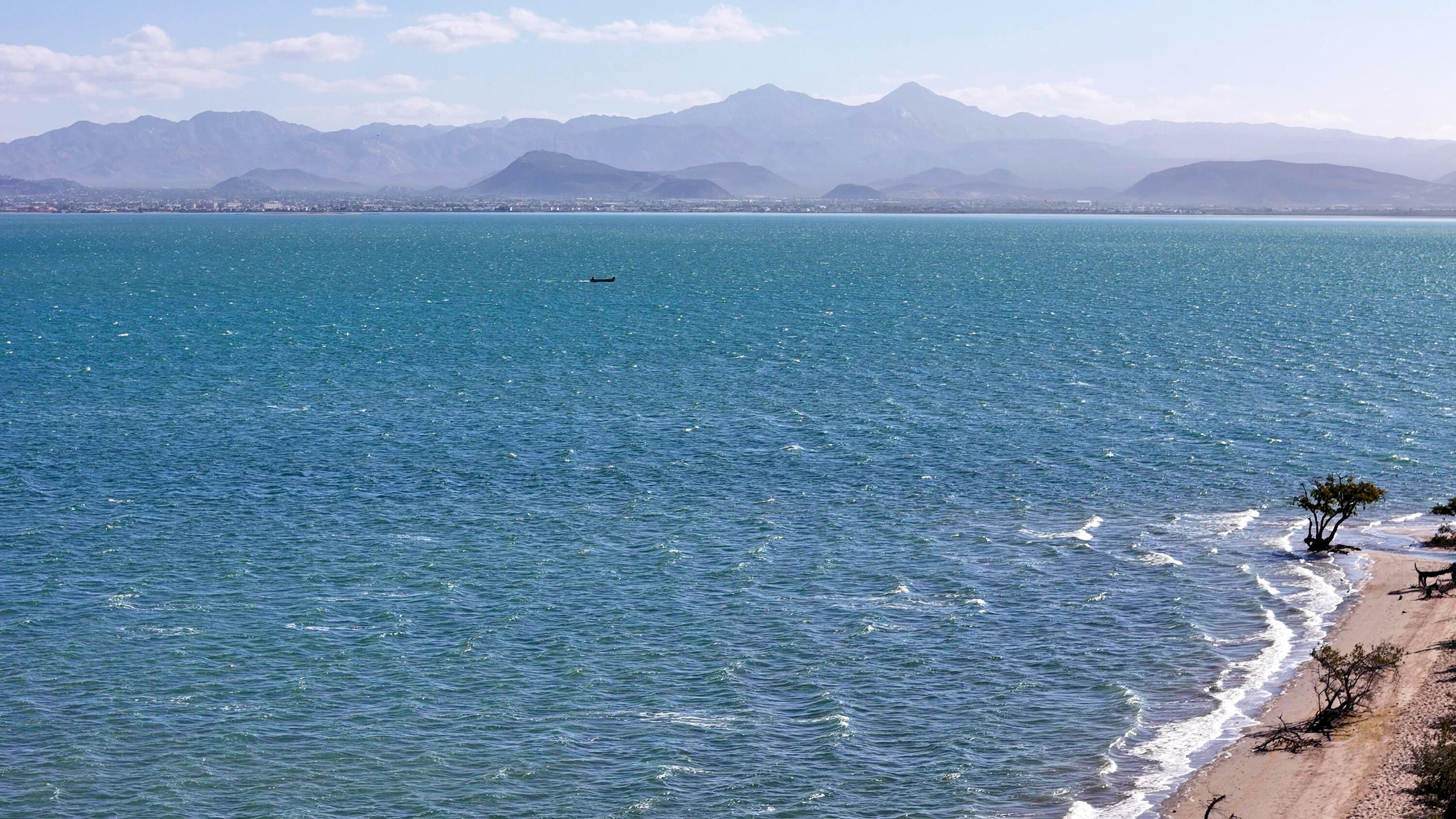 MLS #25-540 image #13