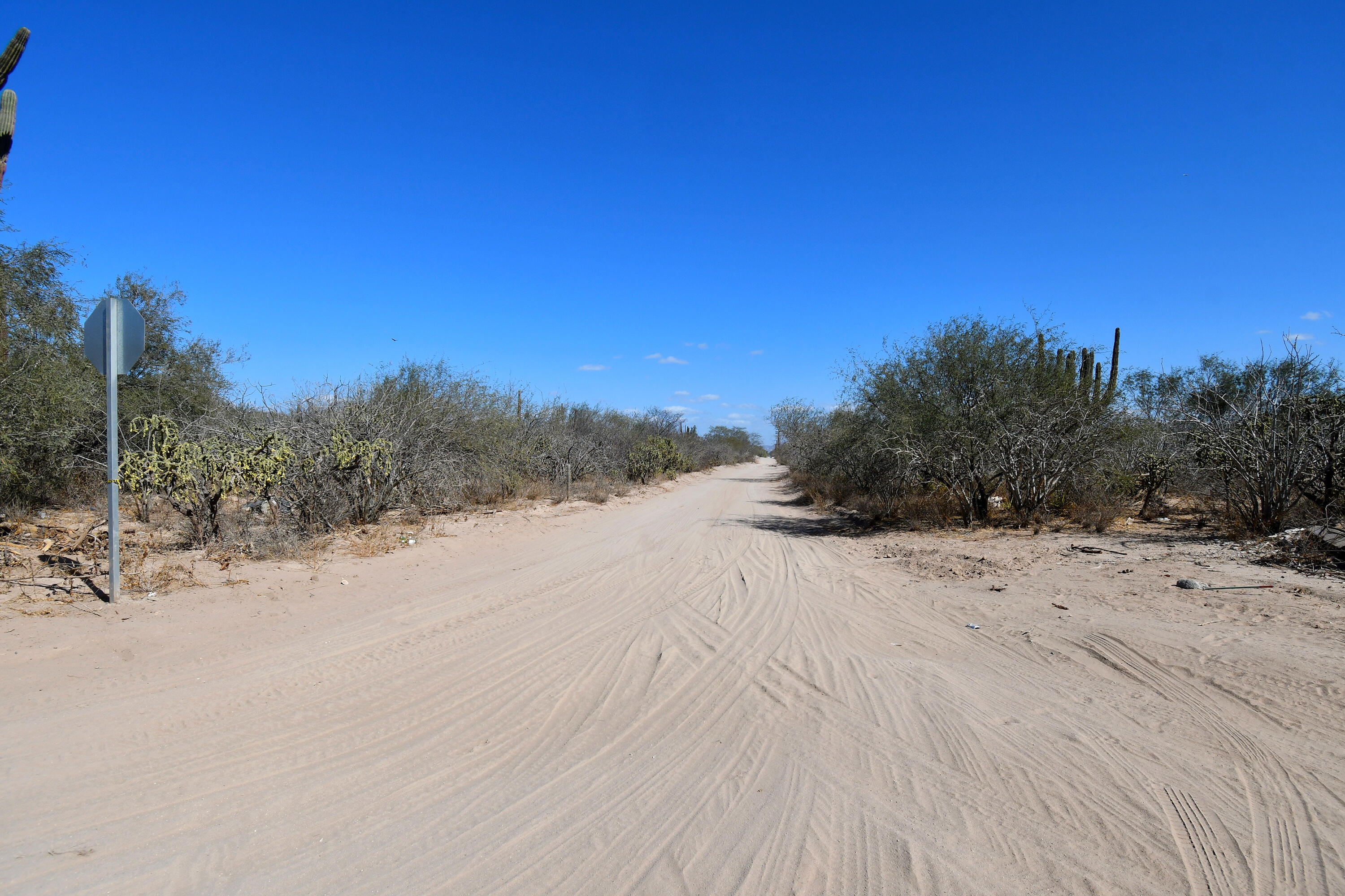 MLS #25-540 img 3