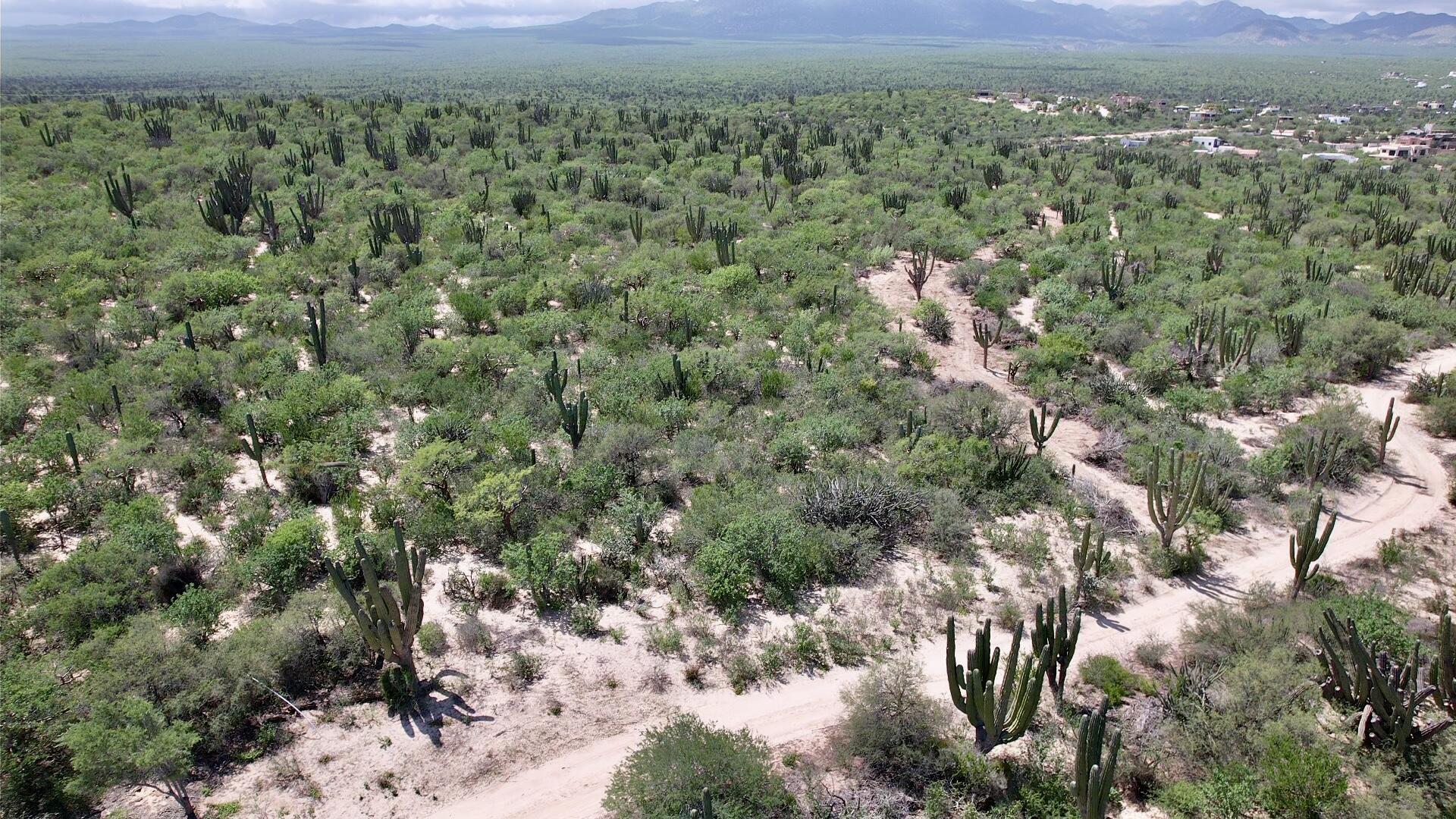 MLS #25-5408 image #2