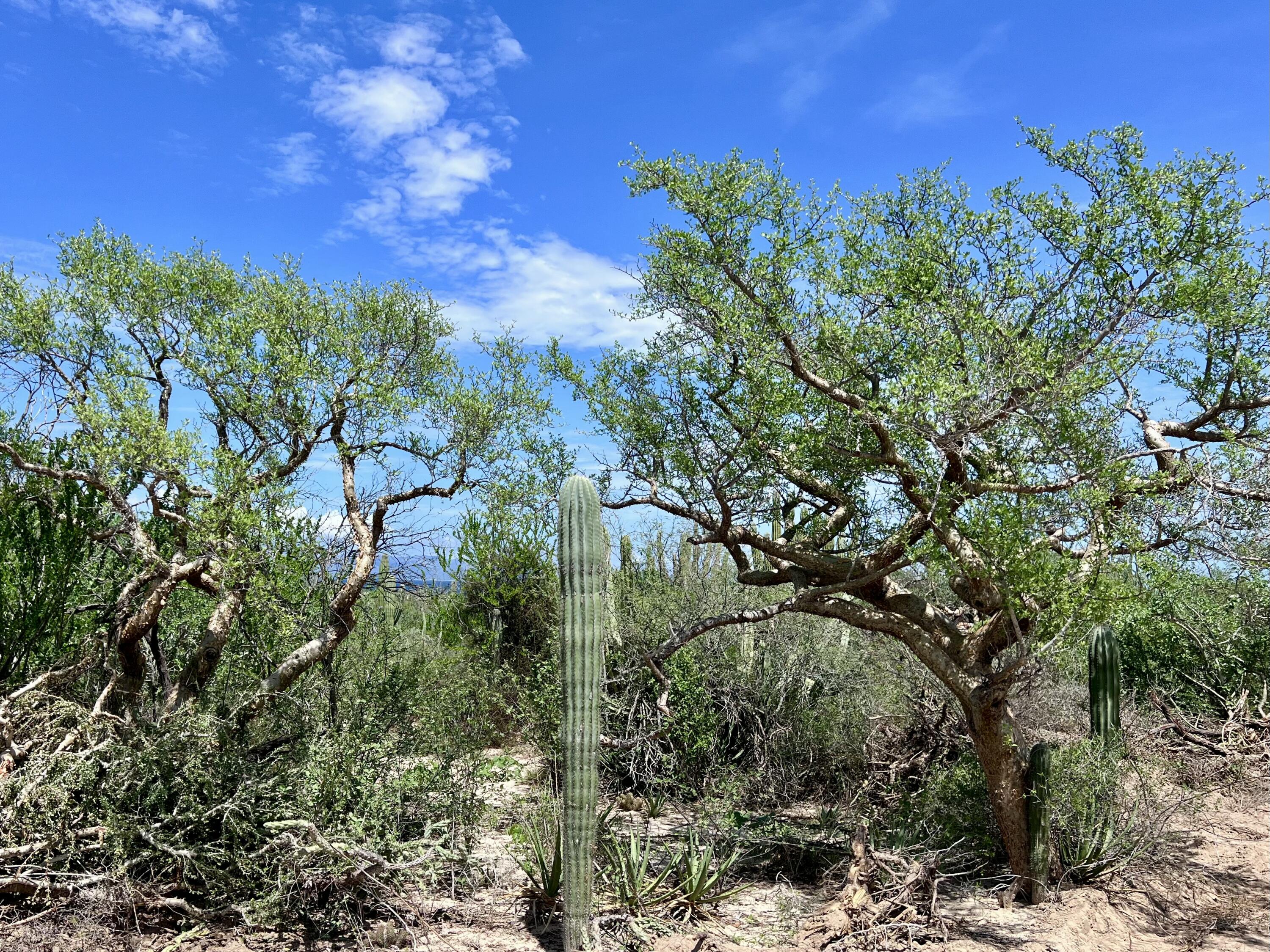 MLS #25-5408 image #3