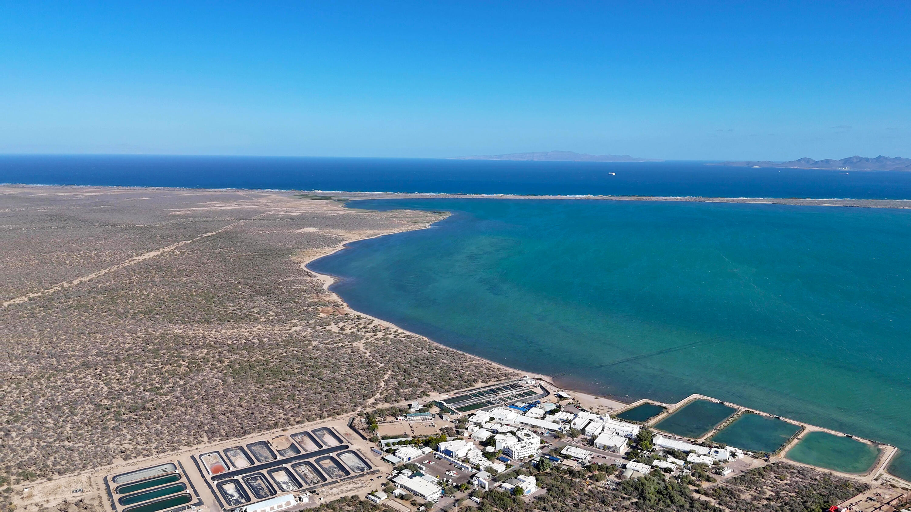 MLS #25-547 image #19