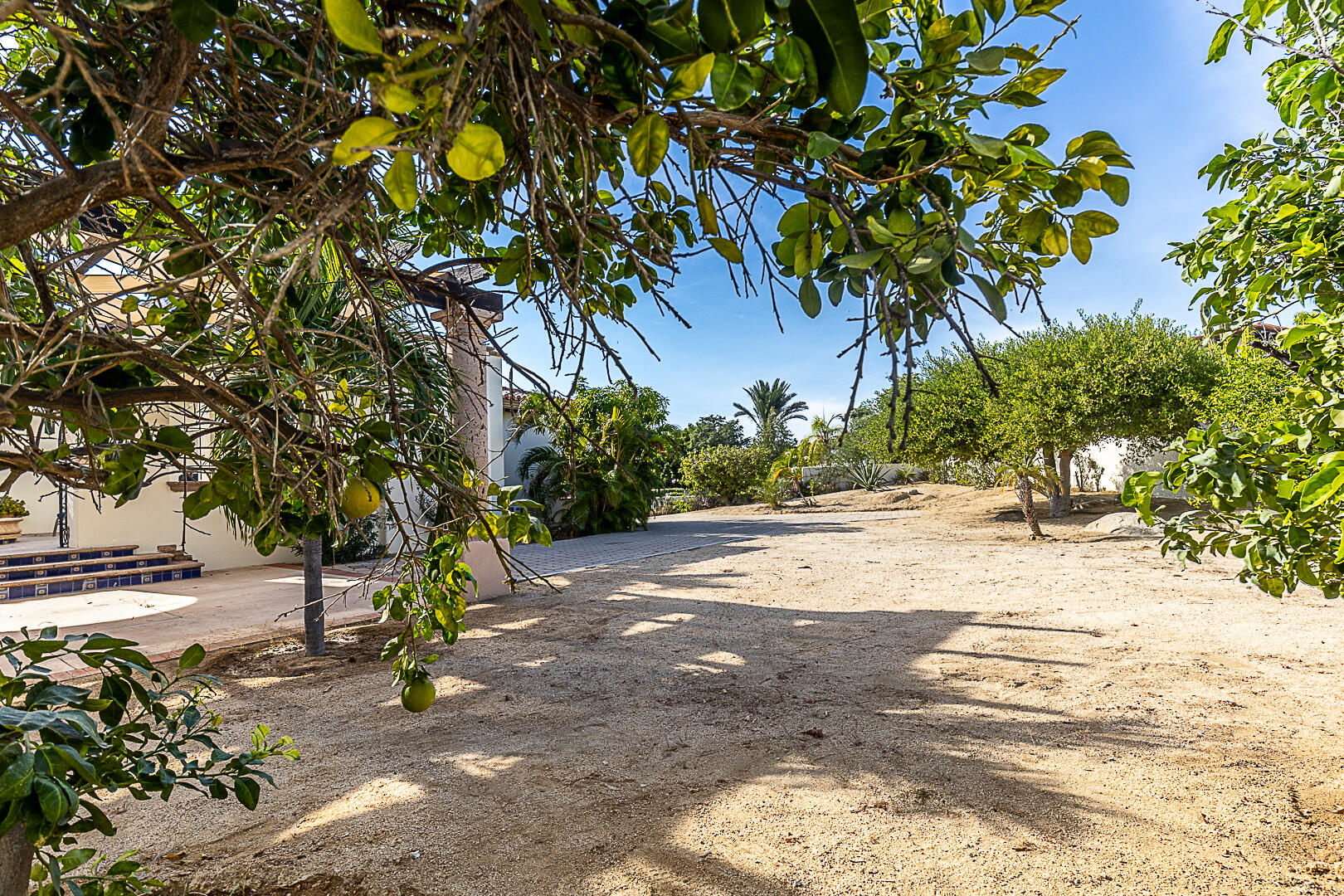 MLS #25-5474 image #51