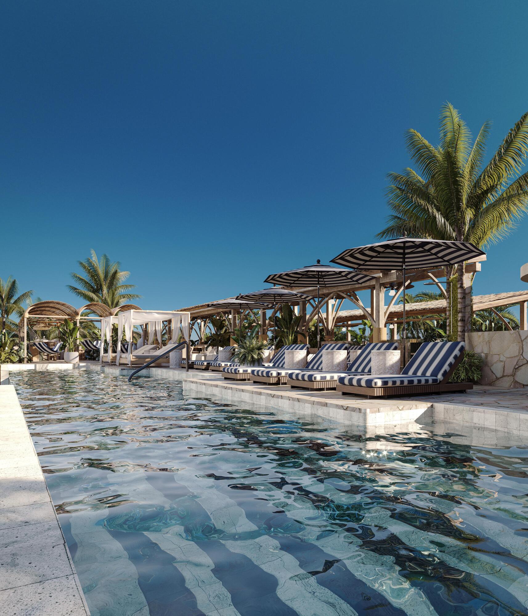 MLS #25-555 image #19