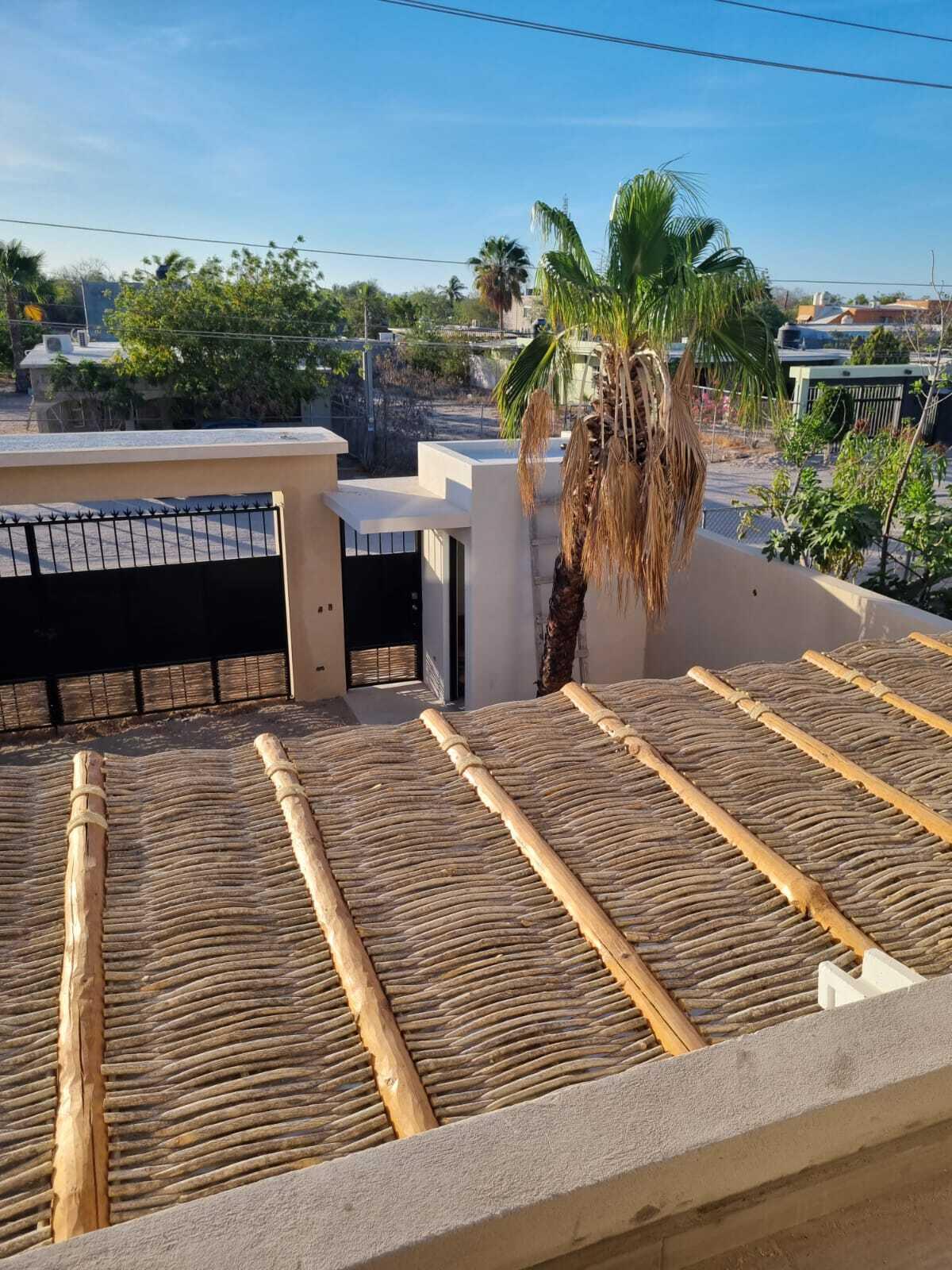 MLS #25-556 image #7