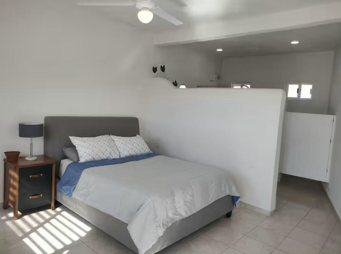 MLS #25-558 image #11