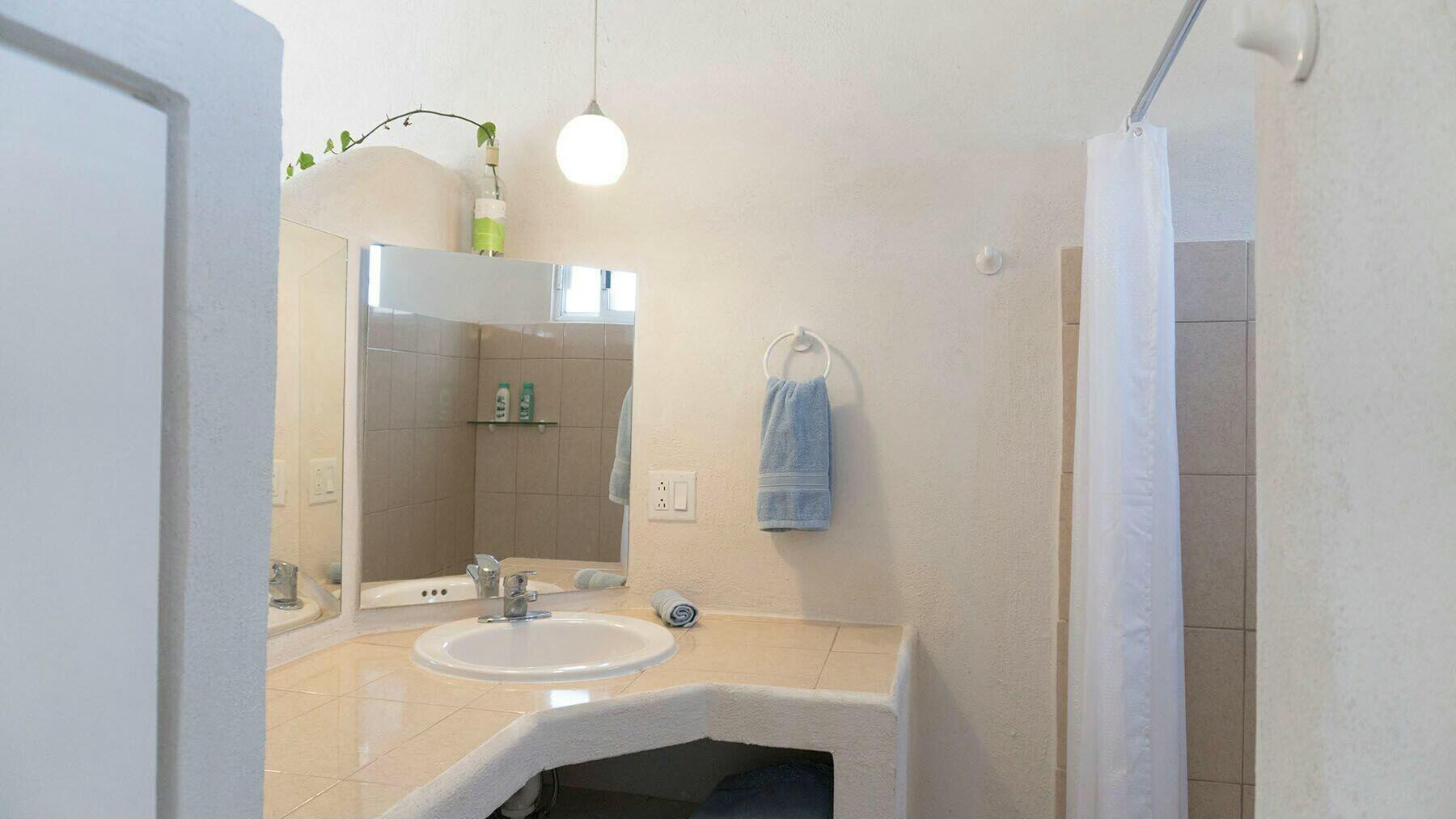 MLS #25-558 image #13