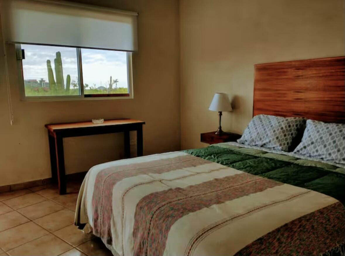 MLS #25-558 image #14