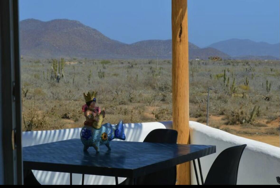 MLS #25-558 image #8