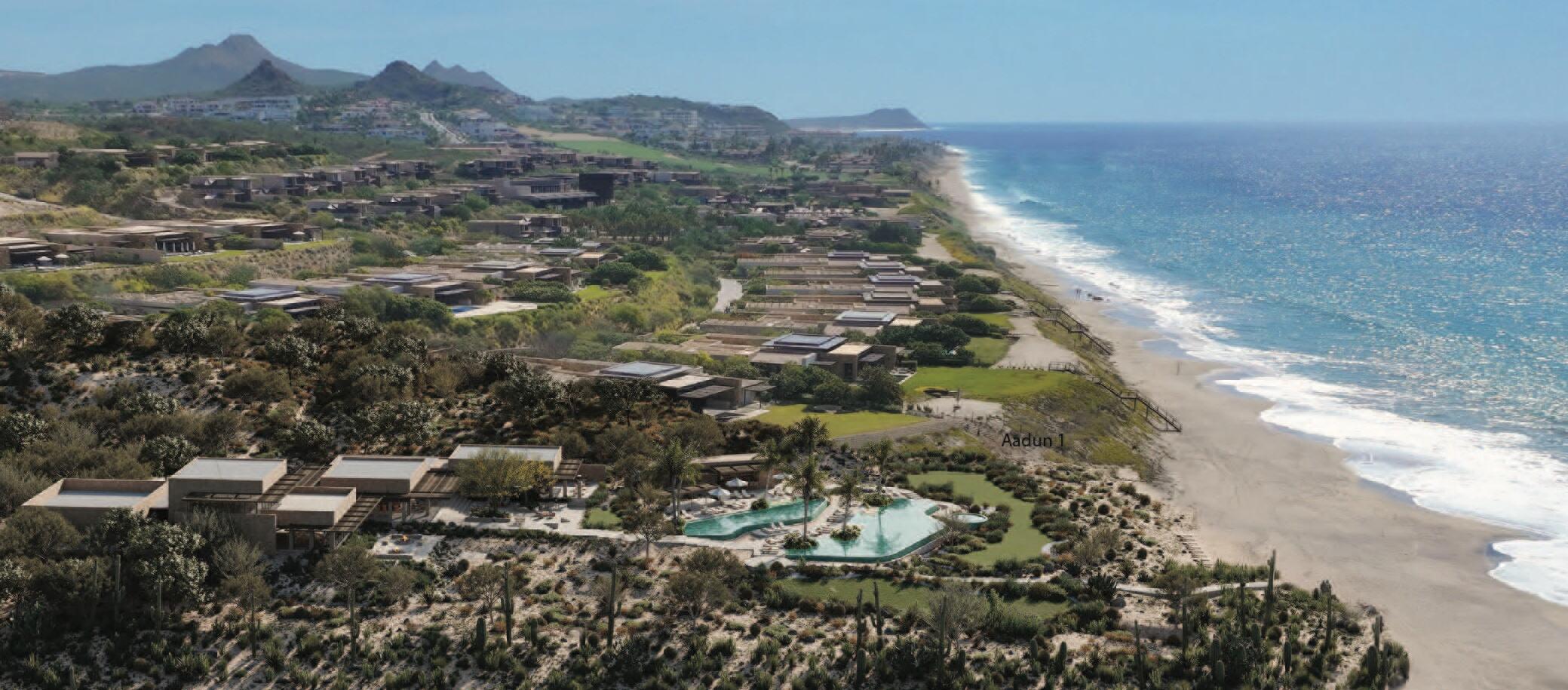 MLS #25-5587 image #4