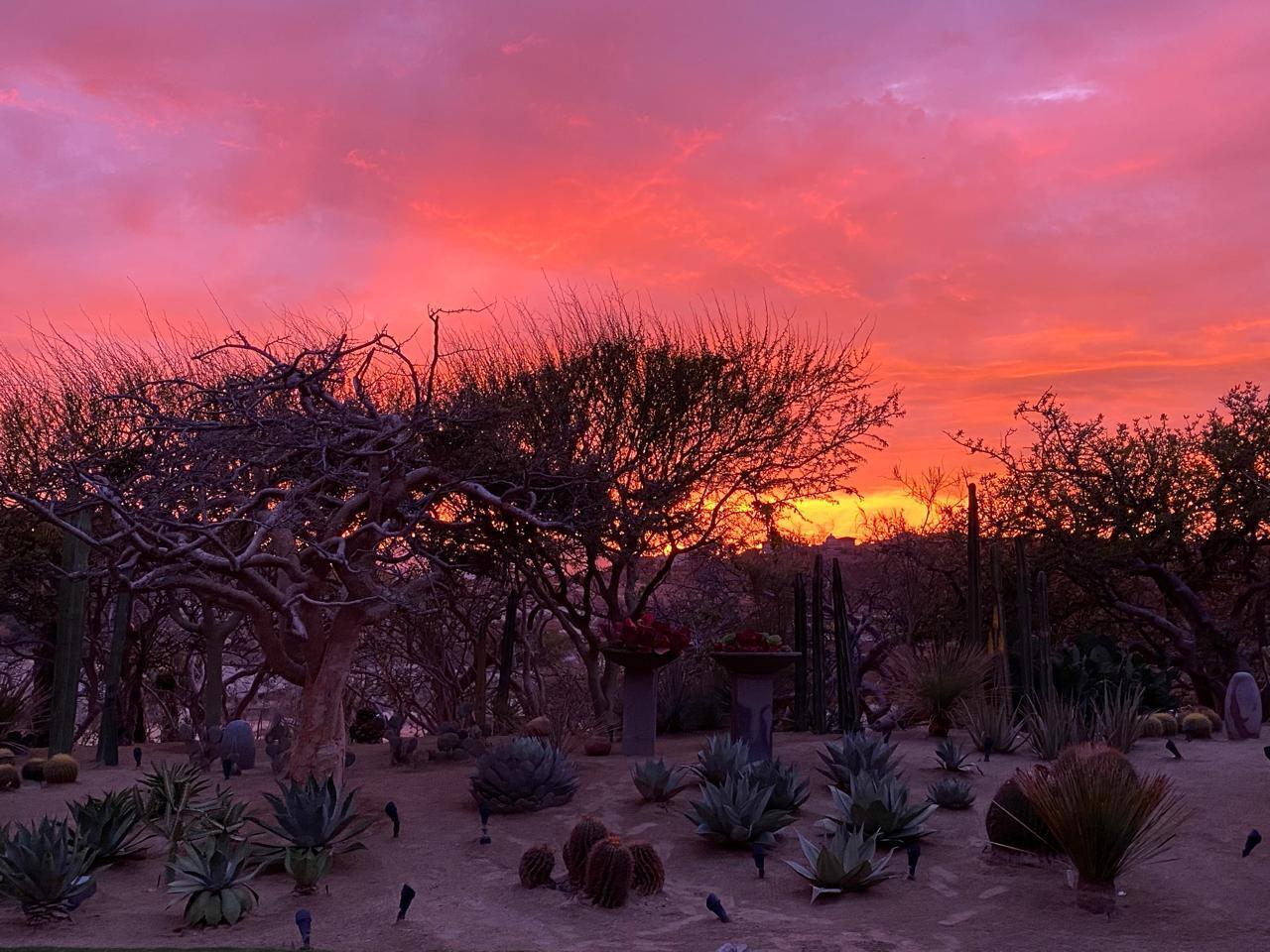 MLS #25-5587 image #41