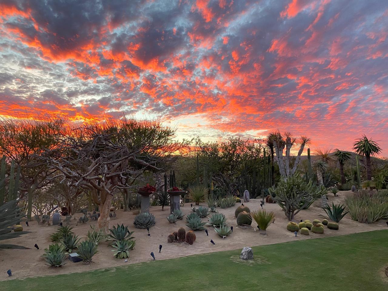 MLS #25-5587 image #42