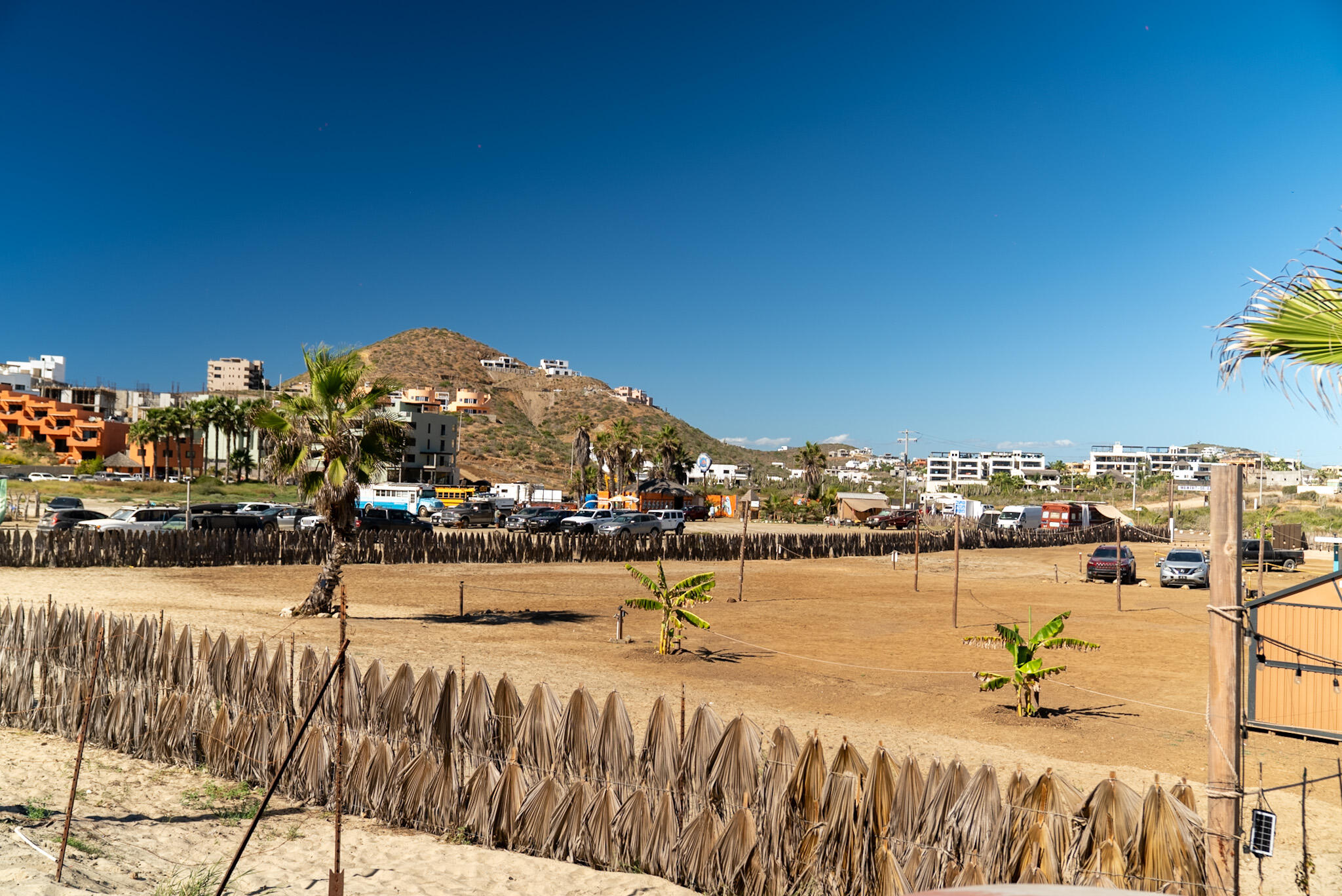 MLS #25-5590 image #3