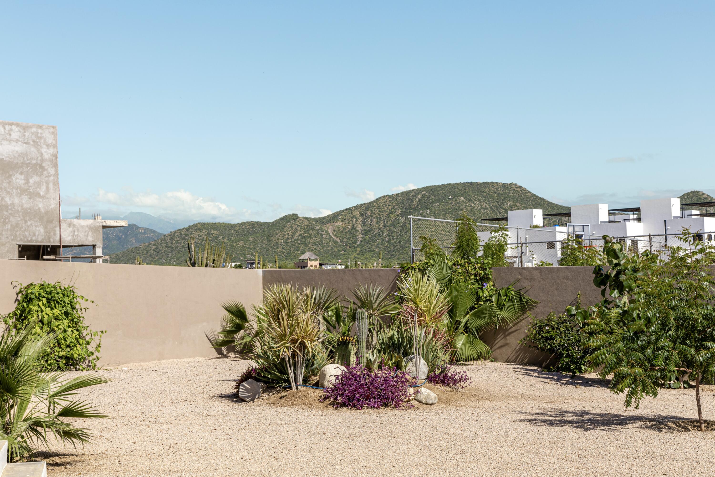 MLS #25-5592 image #11