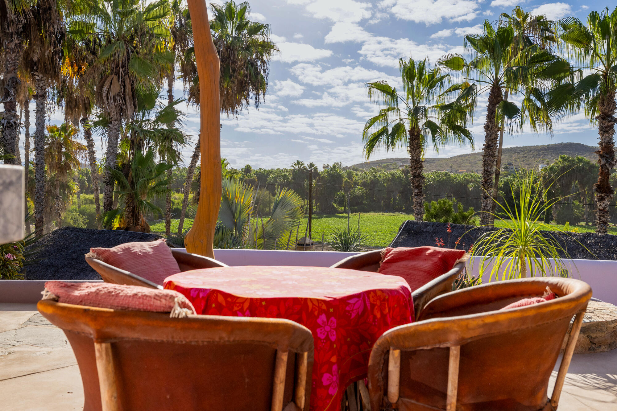 MLS #25-56 image #31