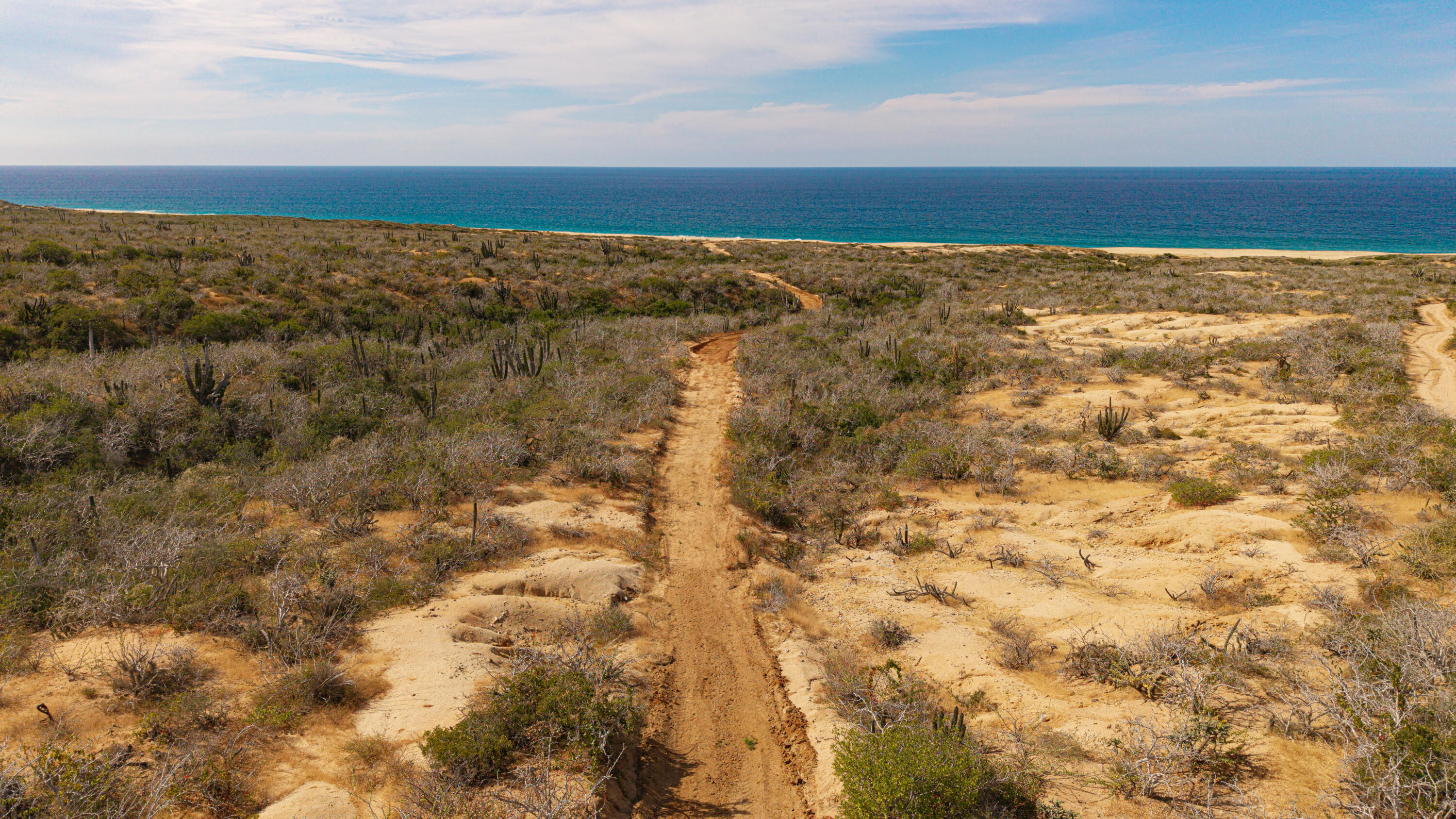 MLS #25-5661 image #14