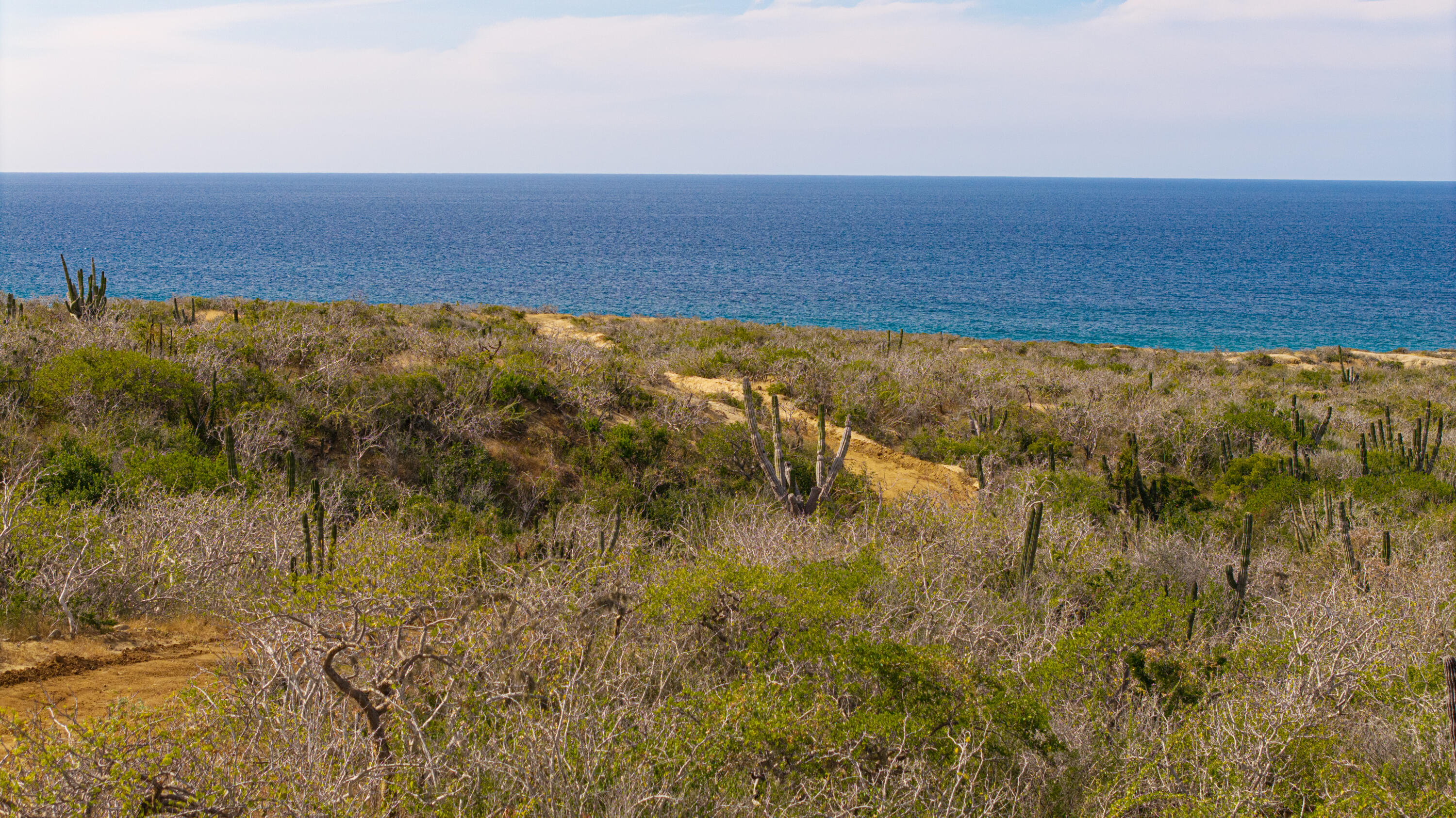 MLS #25-5661 image #15