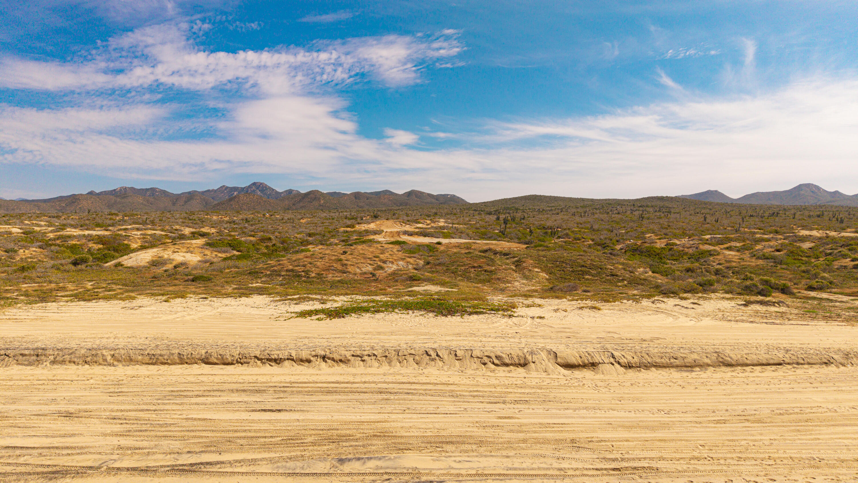 MLS #25-5661 image #23