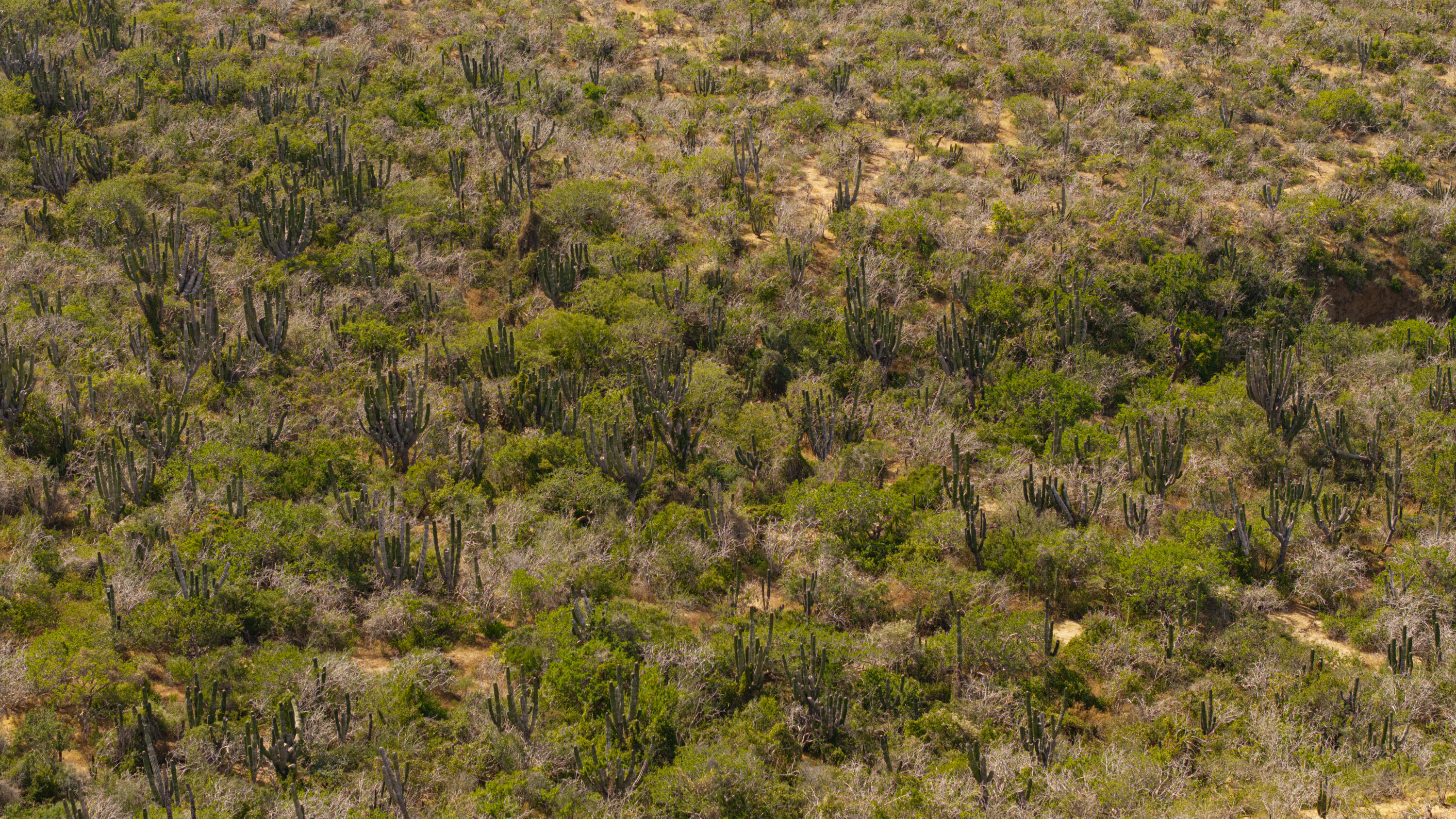 MLS #25-5661 image #27